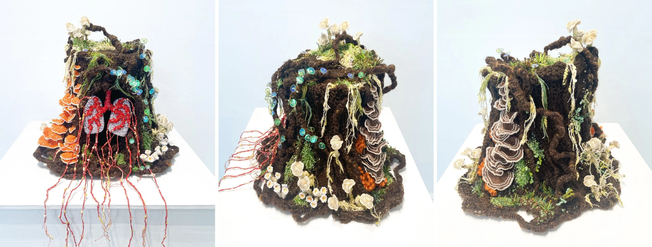 Old Growth forests, the lungs of the earth, are suffering from unsustainable development and climate change. View of 3 sides of the artwork.