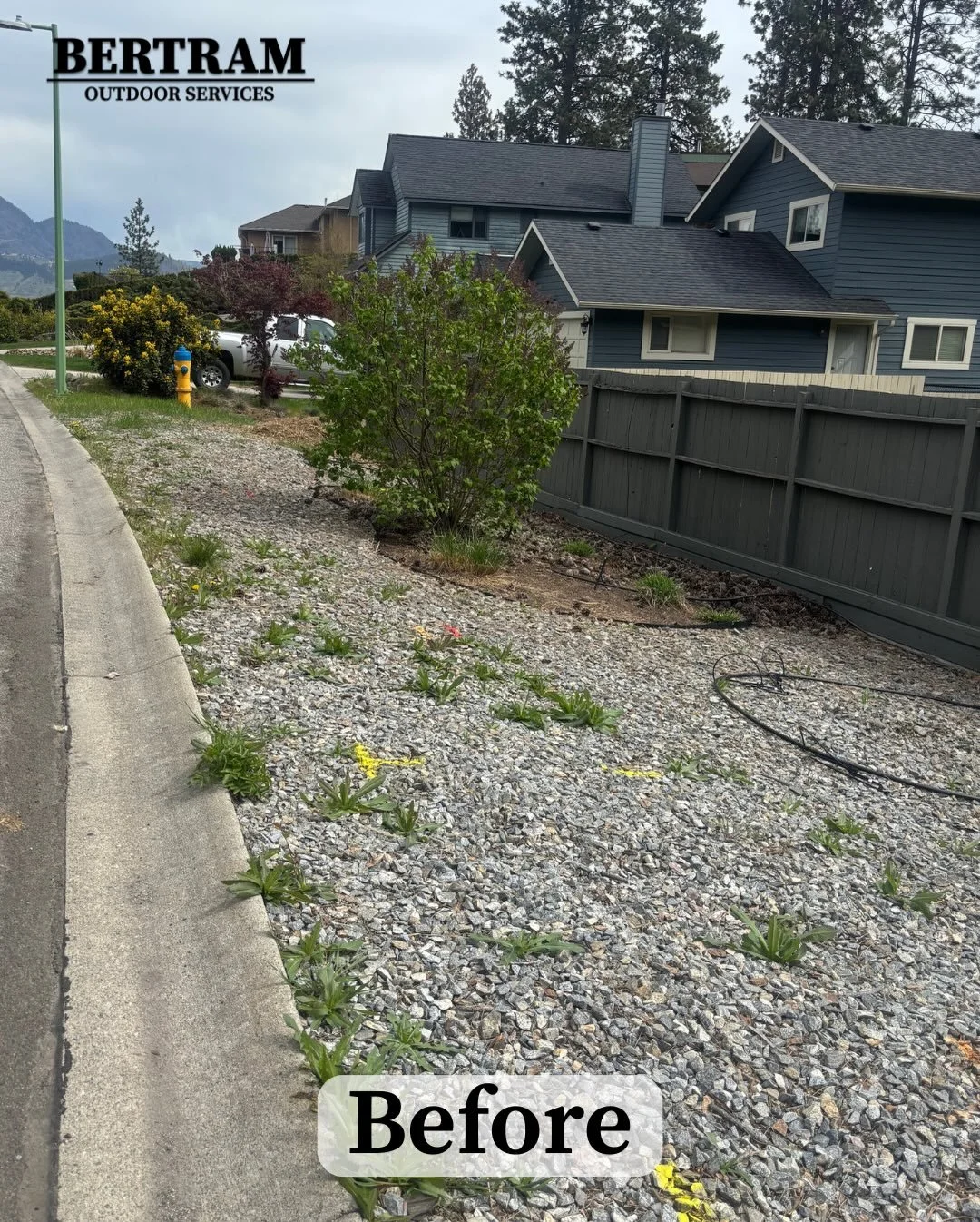 Happy Monday! 

Got the pleasure of working on this yard after a tree removal this weekend! To sum it up for you stump grindings gone, pine cones cleared, garden bed raked out, and the landscape rock area completely clear of weeds. The transformation