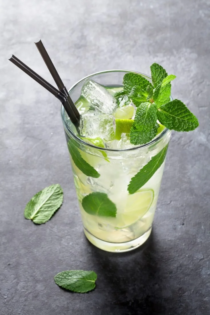 A tall clear glass filled with ice cubes, lime slices, fresh mint leaves, and a light-colored liquid, garnished with mint sprigs and two black straws, placed on a dark surface with loose mint leaves nearby.