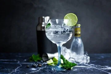 Four Selections Gin Tasting