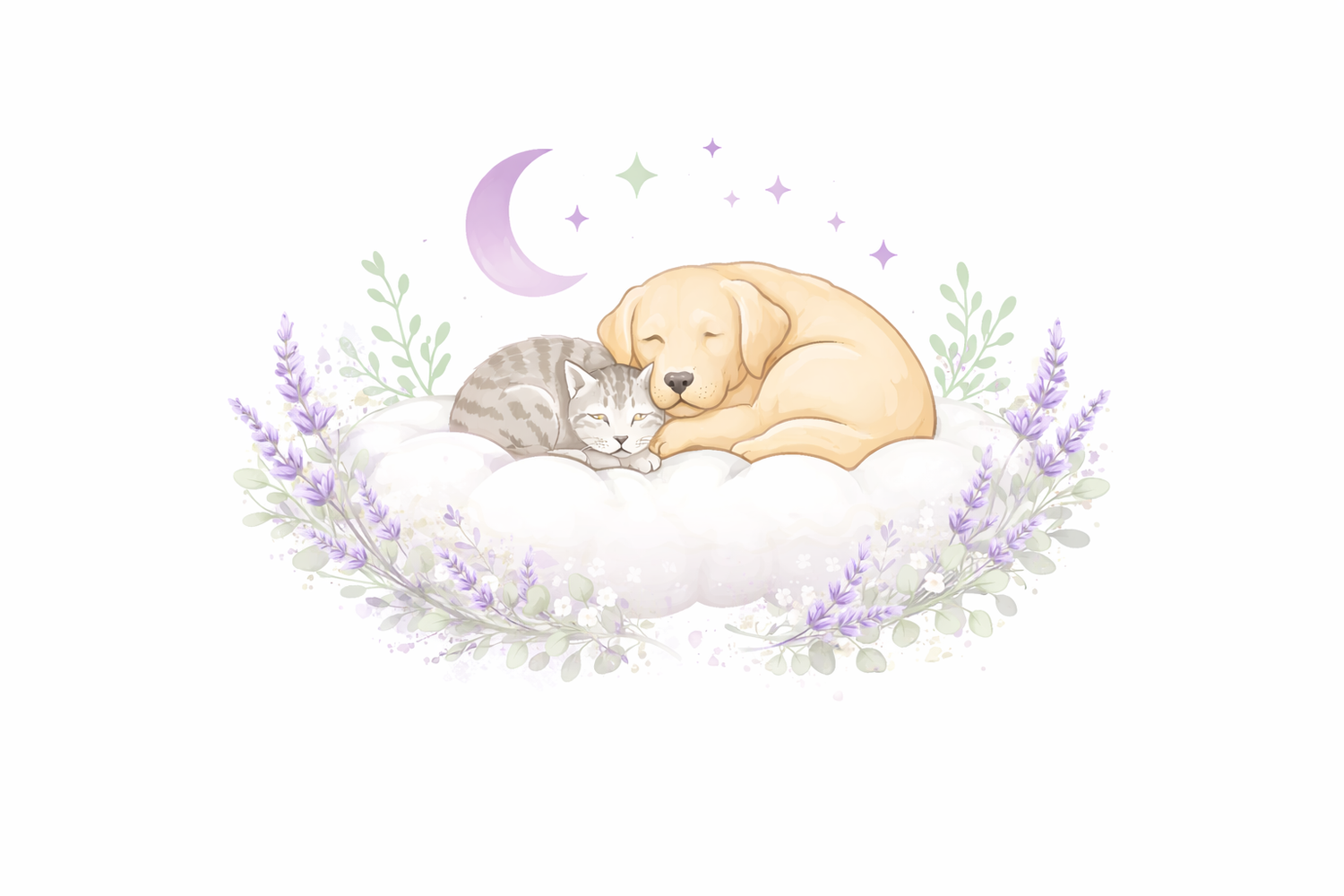 Sweet Dreams End-Of-Life Care