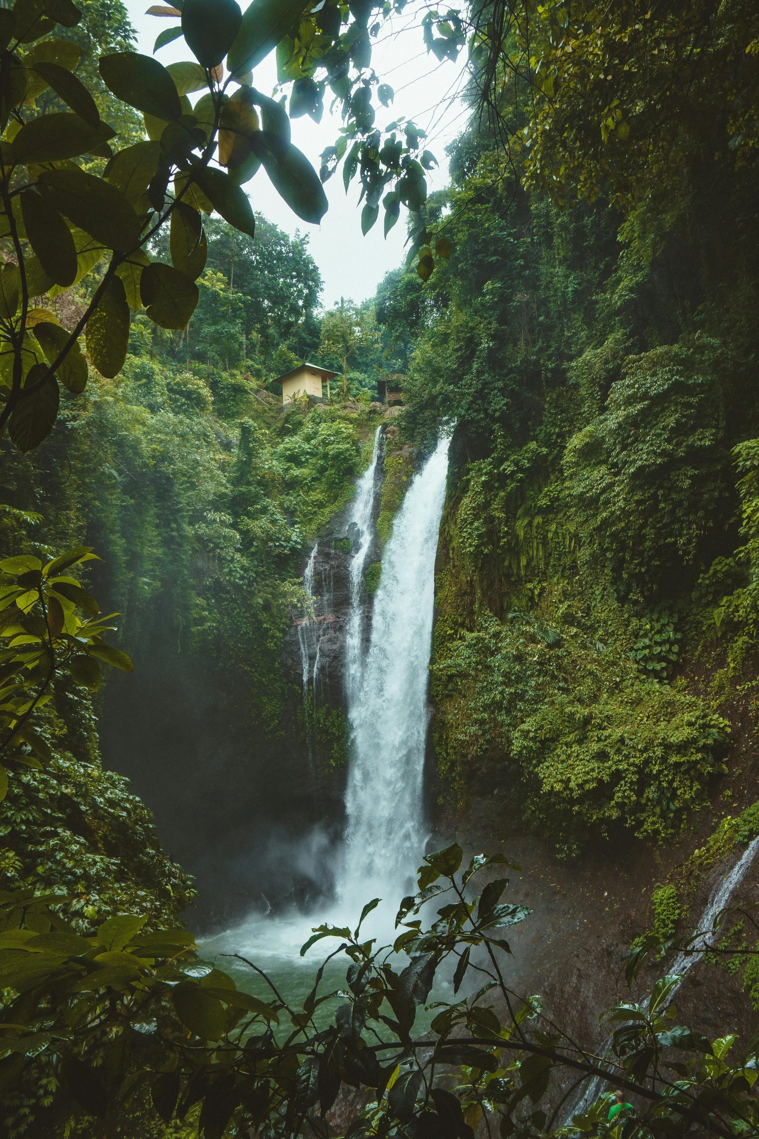 A lush green forest surrounds a tall waterfall cascading into a misty pool below, with dense foliage and a shelter visible at the top of the cliff.