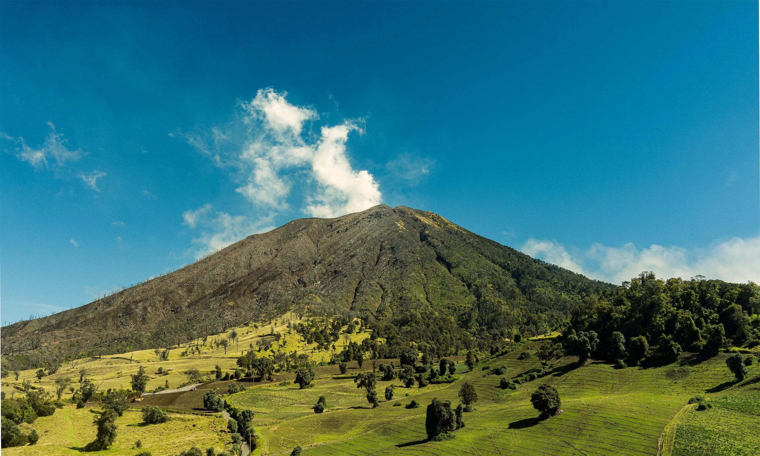 Volcano with a grassy hillside and trees in the foreground, smoke rising from its summit, under a blue sky with some clouds.