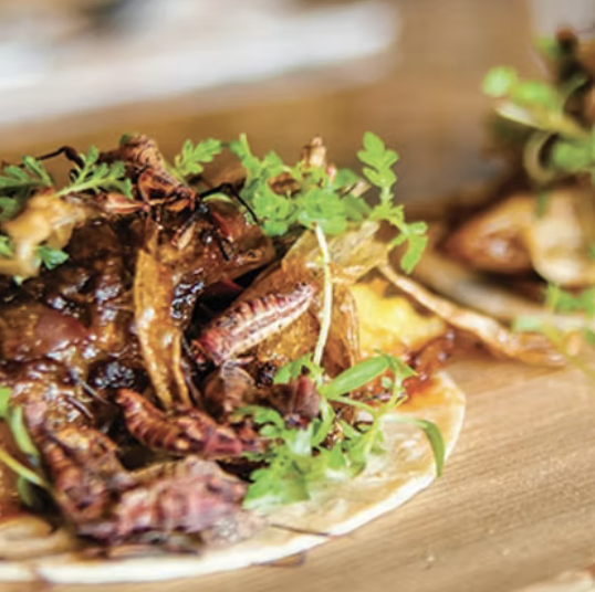Close-up of a plate with cooked crawfish garnished with fresh herbs on a wooden surface.