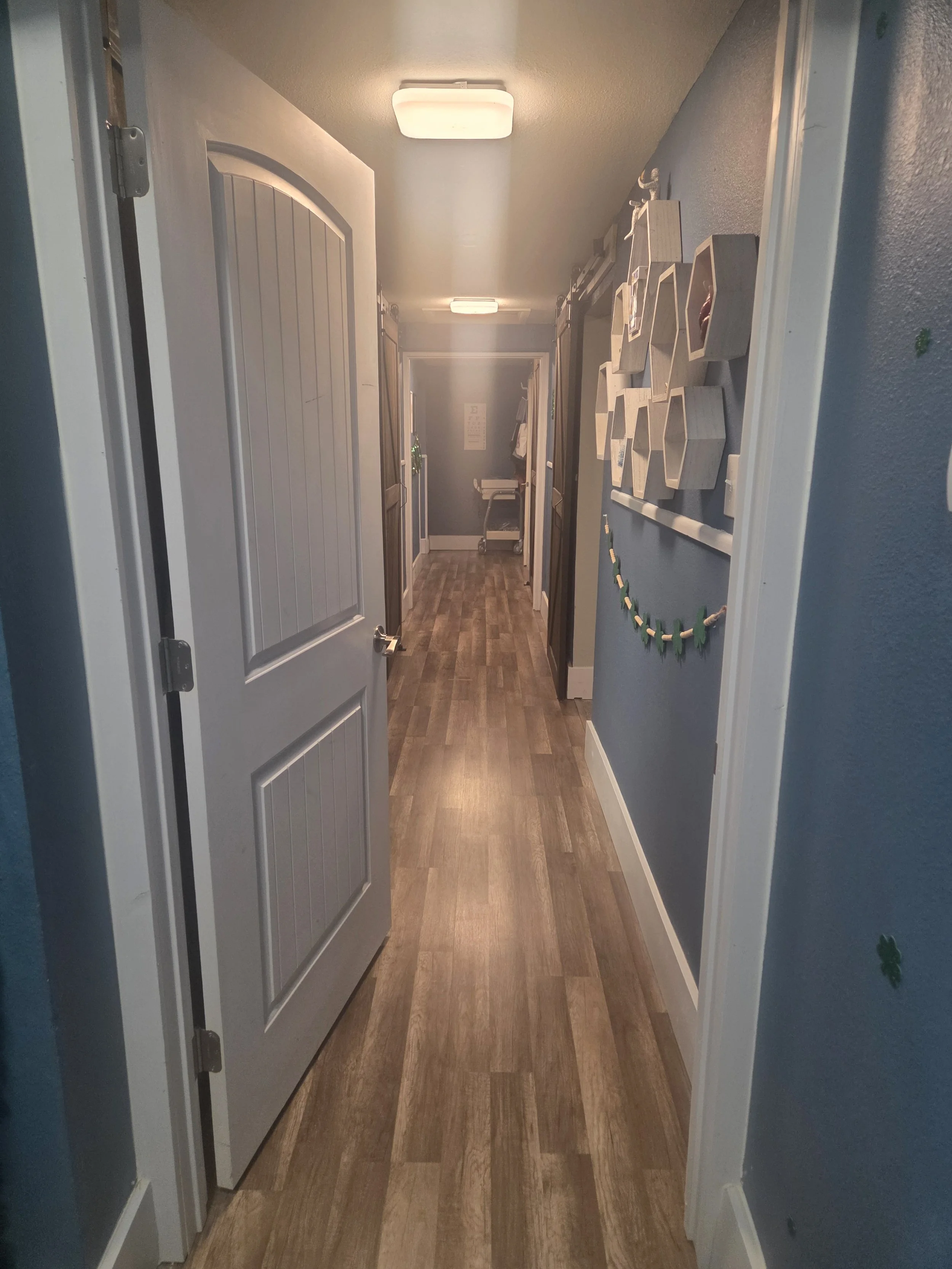 Indoor hallway with wooden flooring, blue walls decorated with white hexagonal shelves and green garland, white ceiling lights, and doors along the corridor.