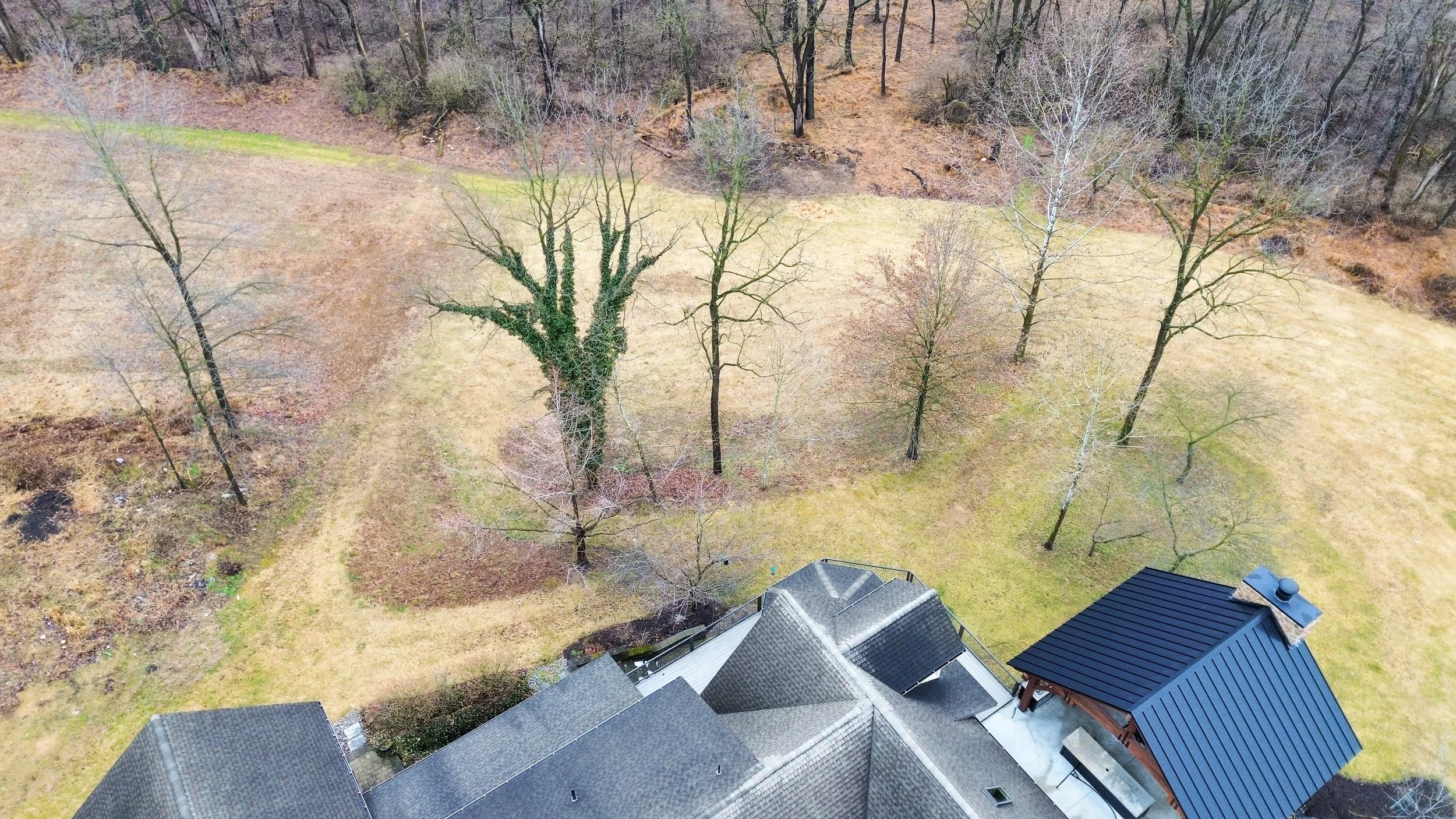 11_Top Down Backyard.jpg