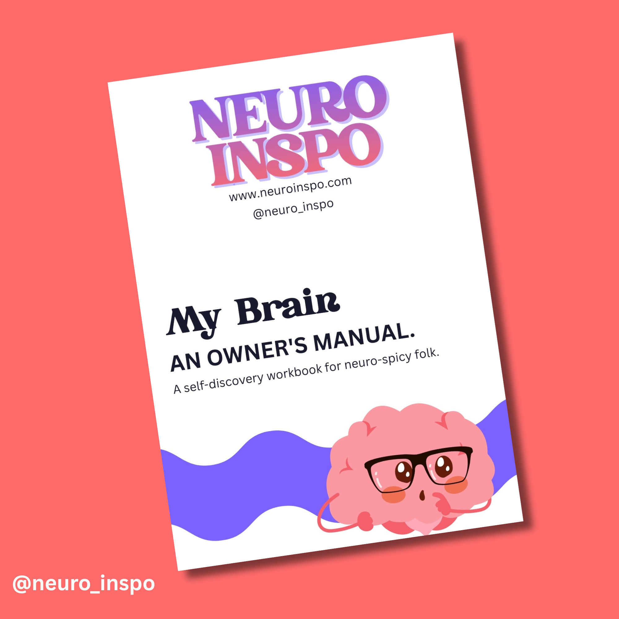 My Brain. An Owners Manual