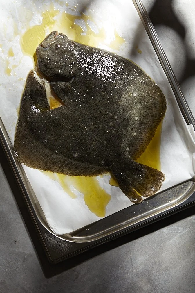 Turbot