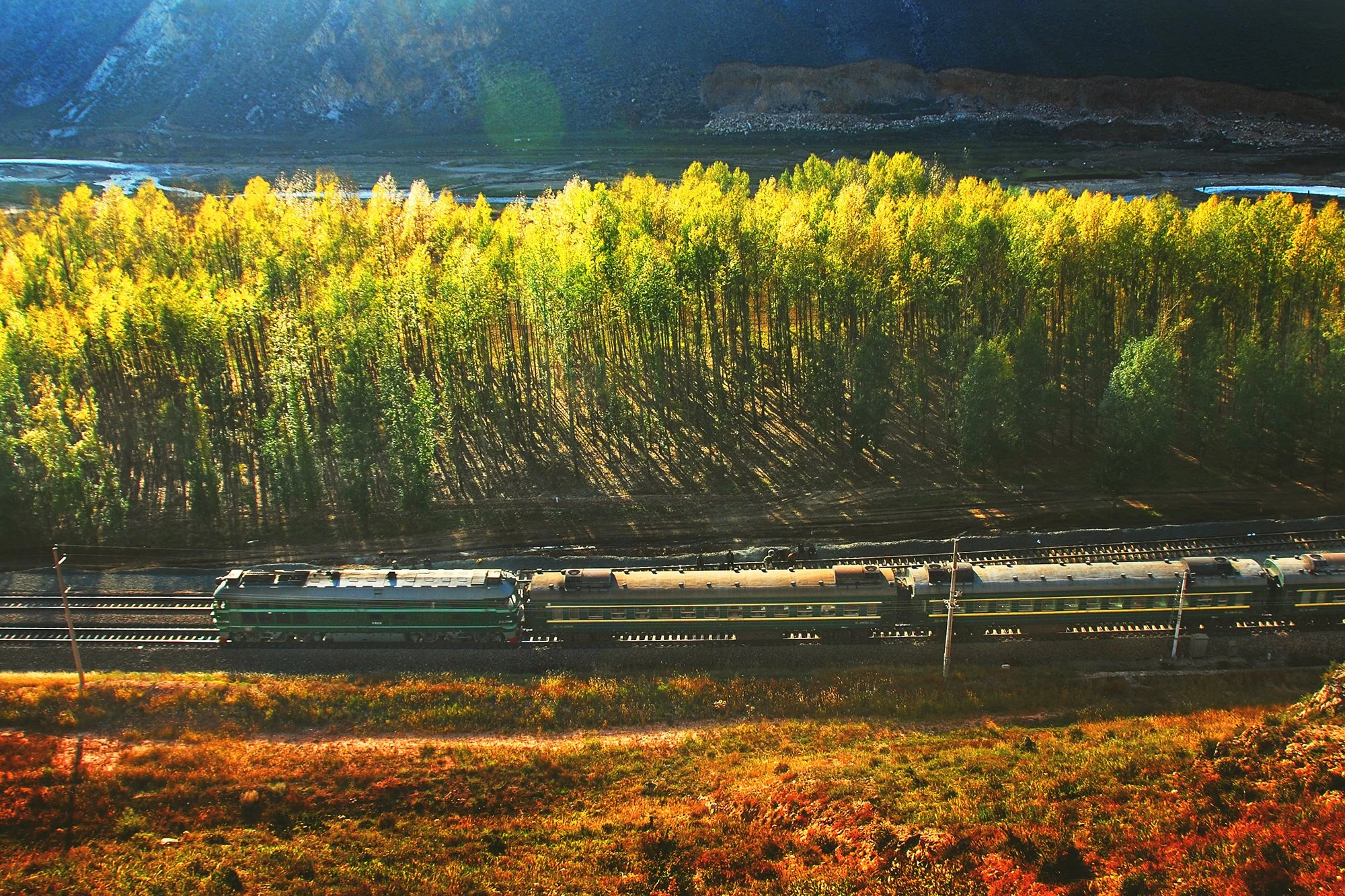  包頭-北京的臨客列車穿過鐵路沿線的樹林，攝於2008年10月。 