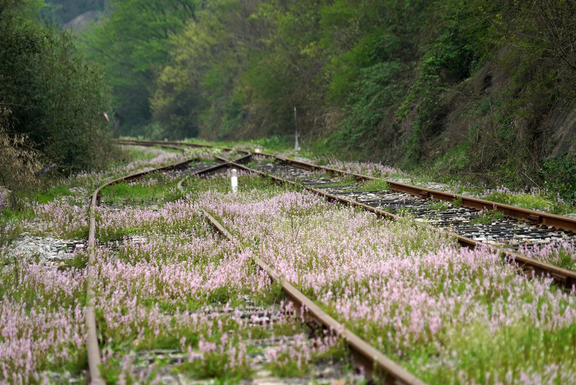 京漢鐵路雞公山段
