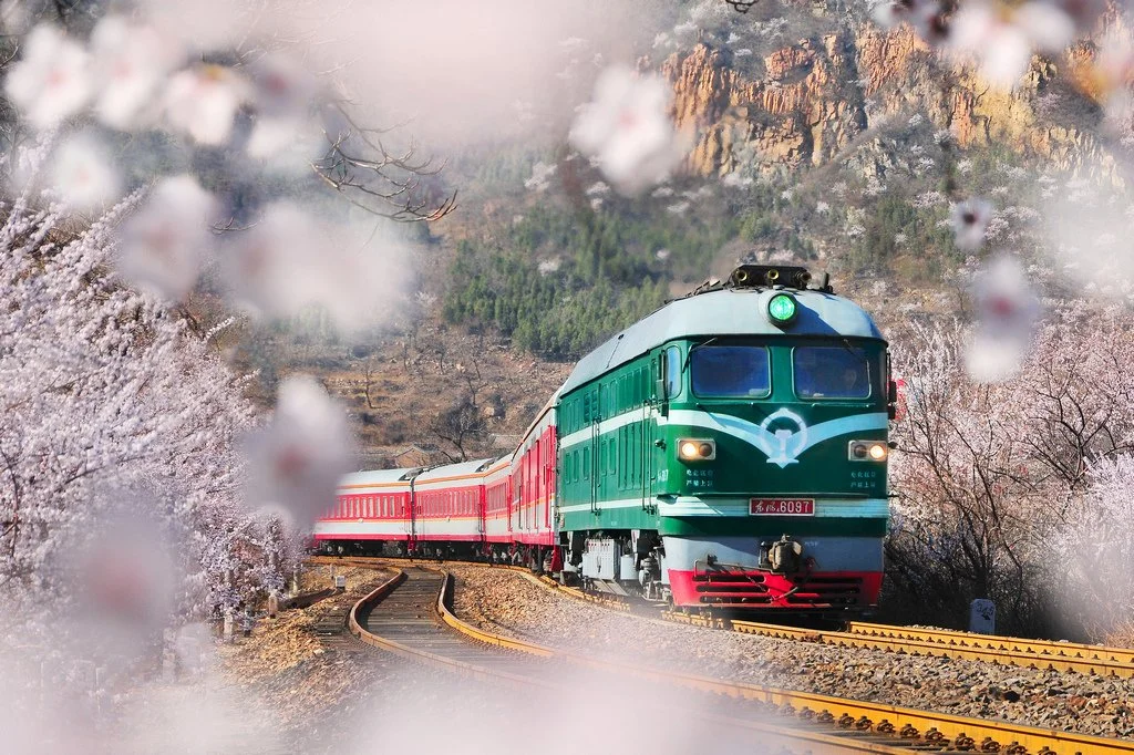 北京王嵬《载誉归来——北京居庸关》.jpg
