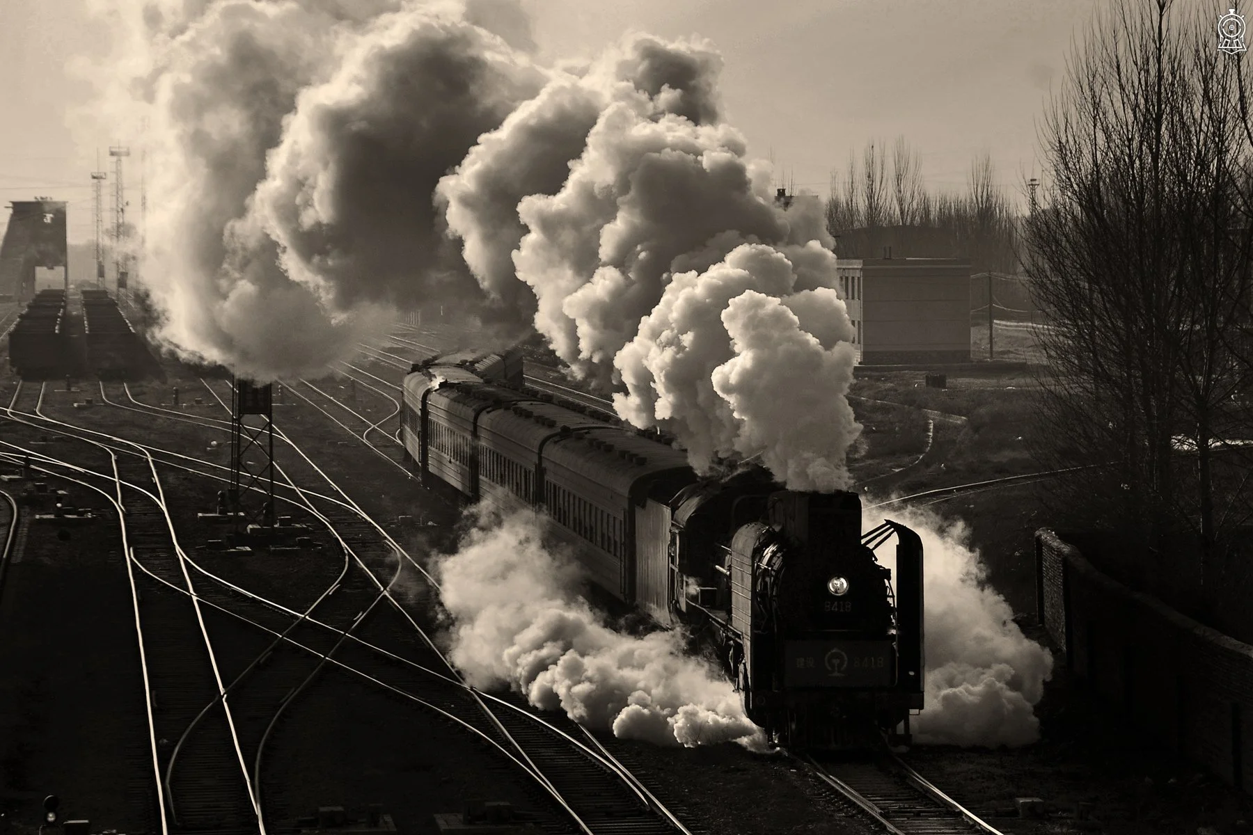 DSC_5695wb.jpg