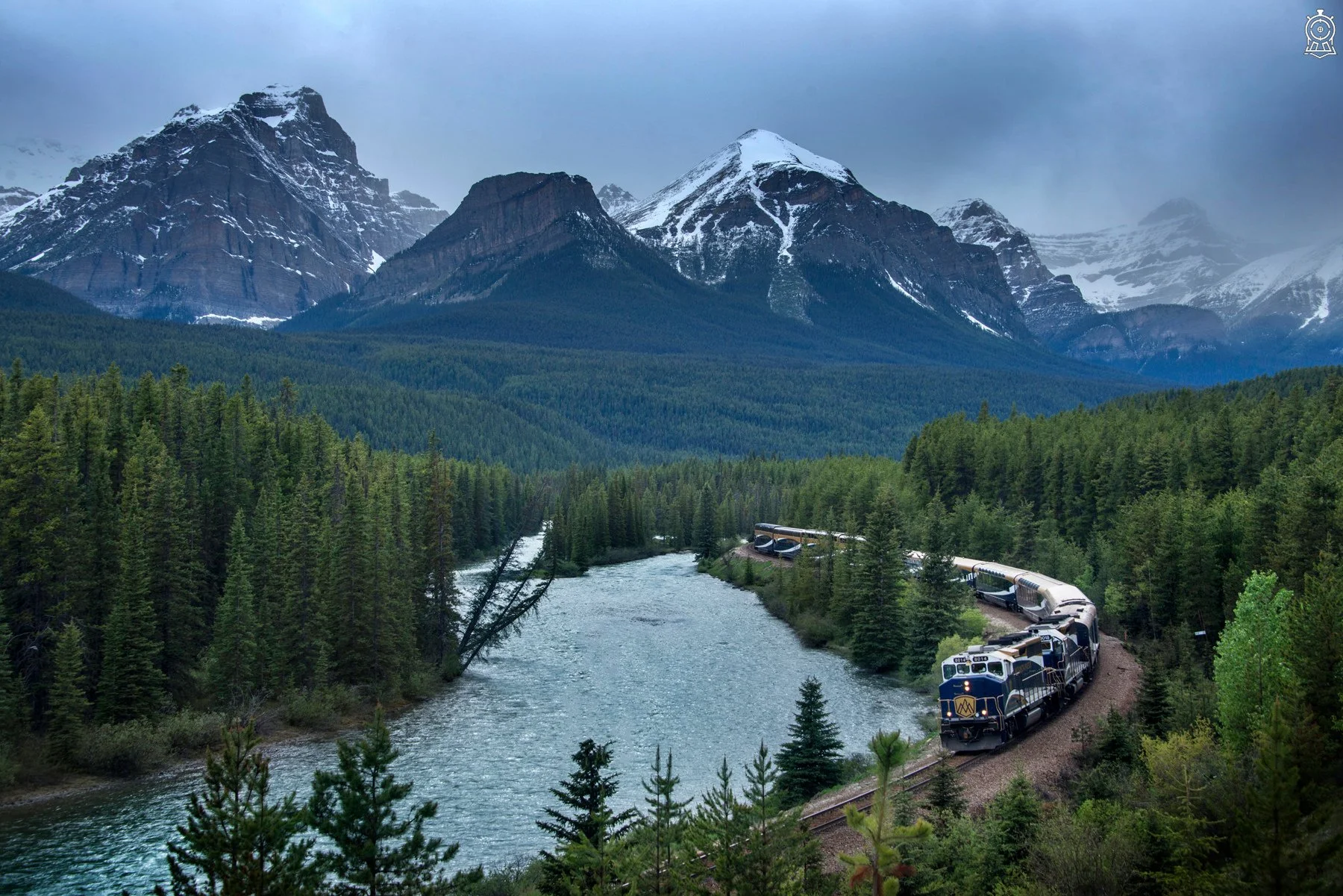 DSC_1005.jpg