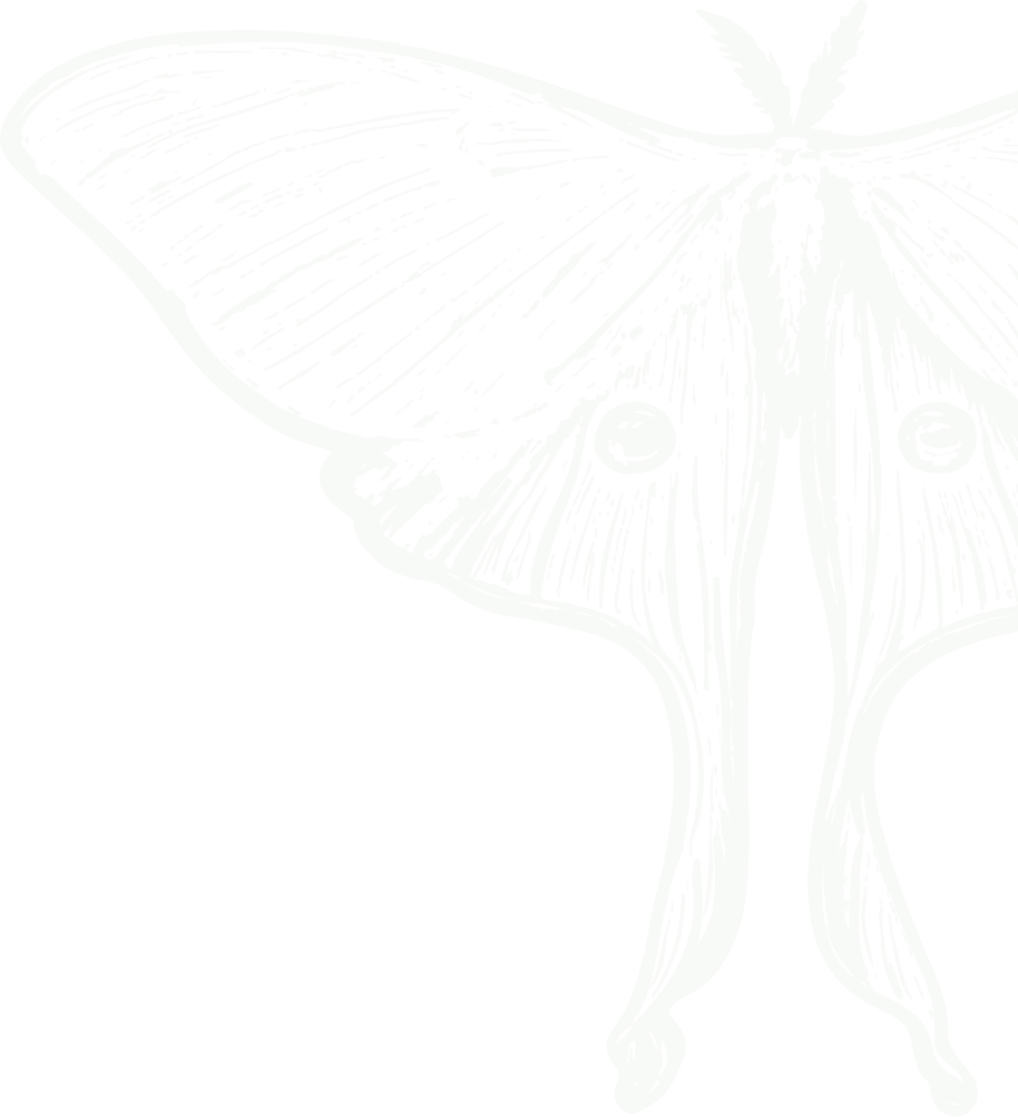 Functional medicine in Boston