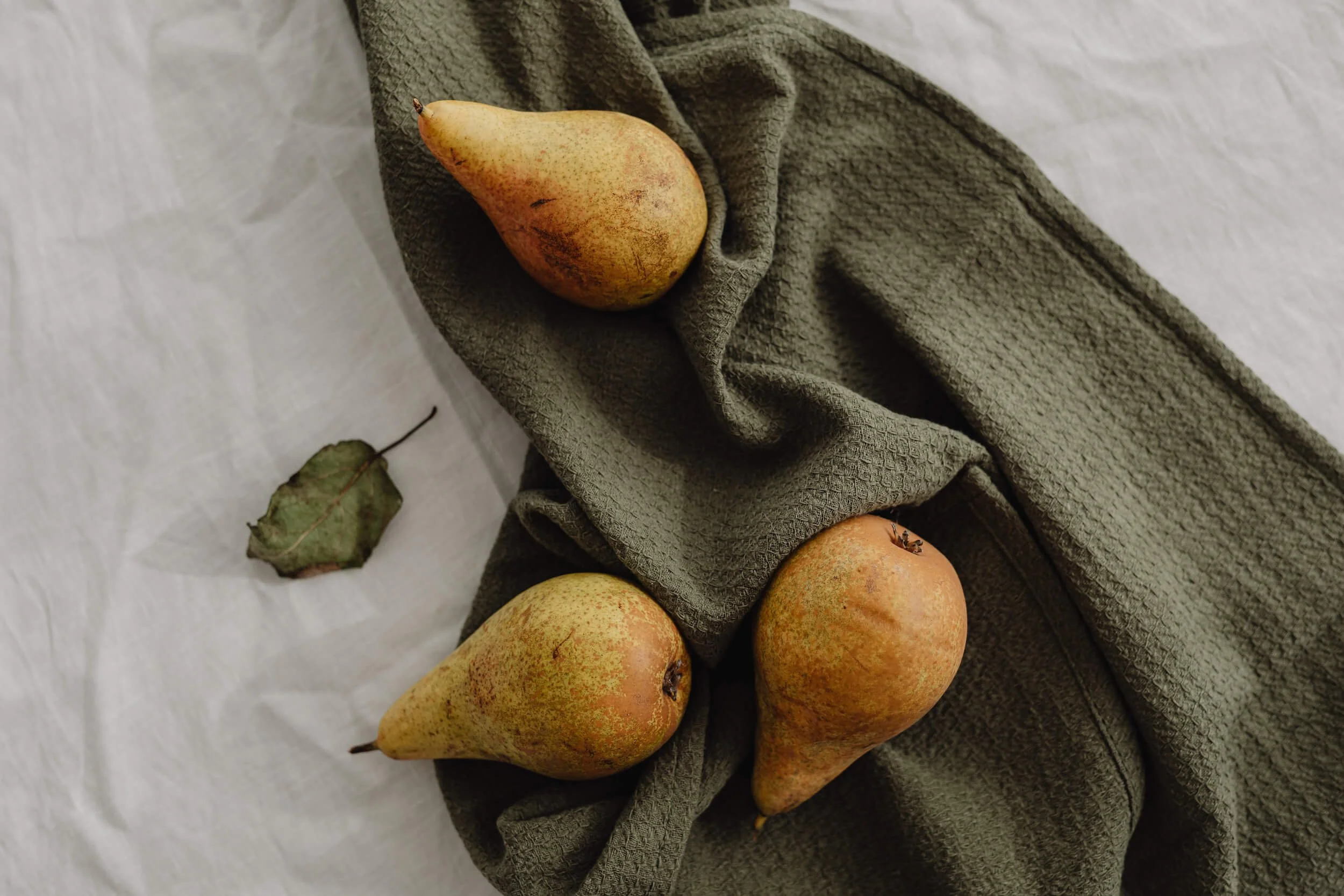 Gut health and digestive healing in Boston, MA