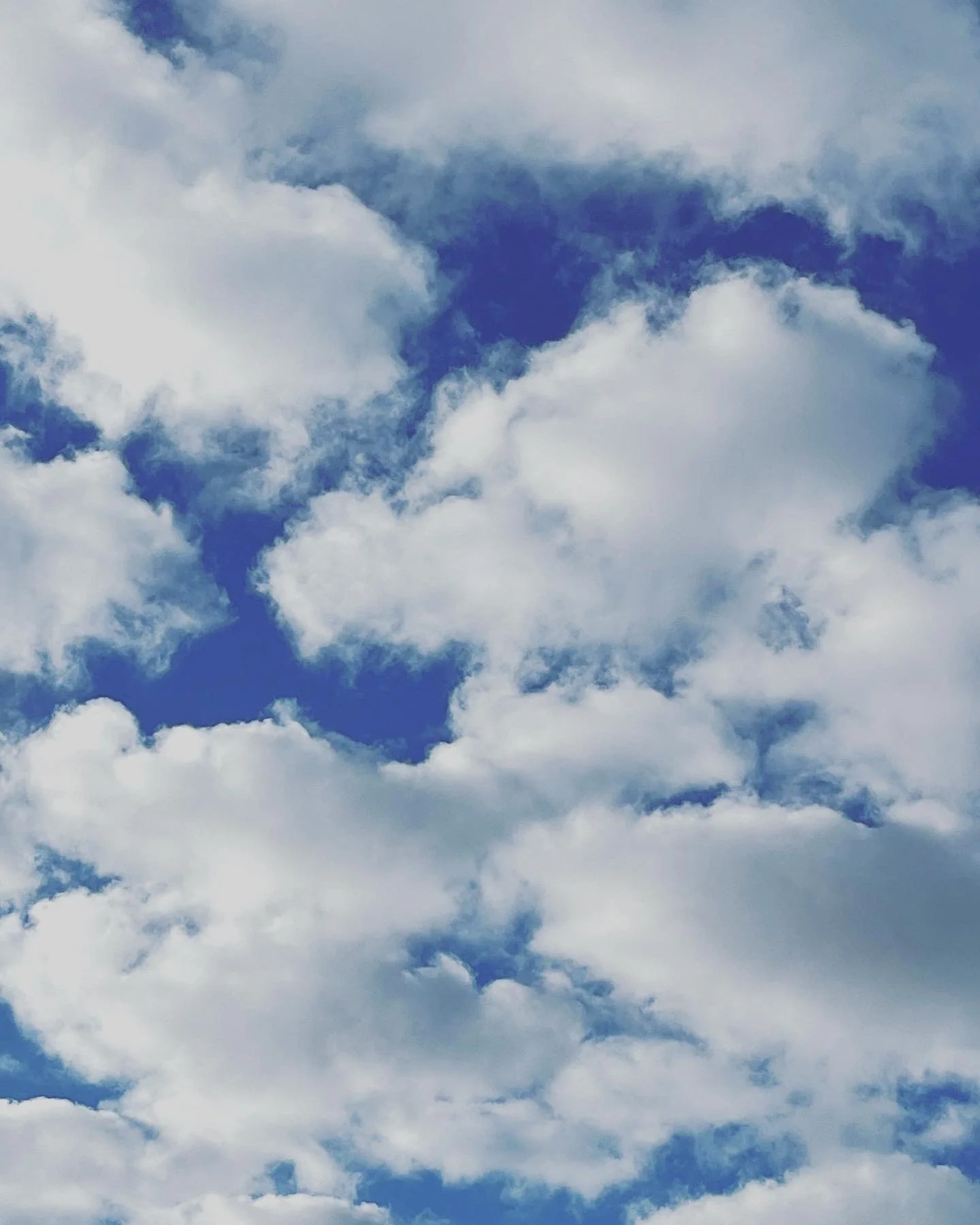8AF8281D-70B3-400C-B1AB-3A774B618B01.jpeg