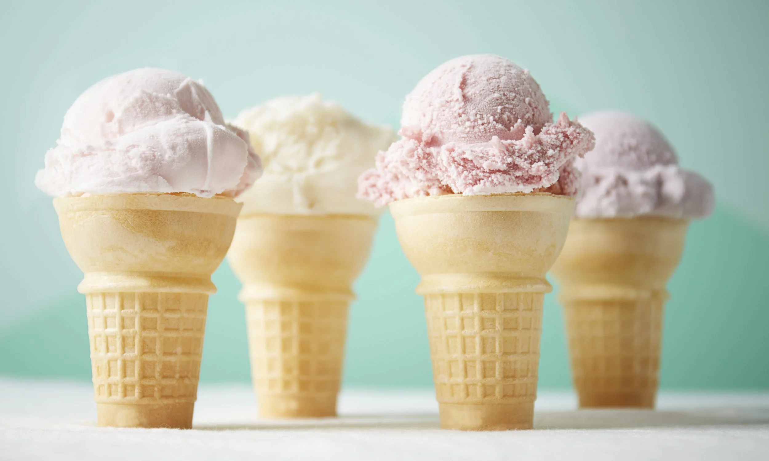 image_download-2 copy 2.jpeg