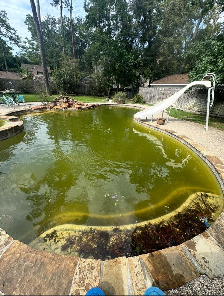 Green pool before professional cleaning by WA The Pool Doctor in Spring, TX.