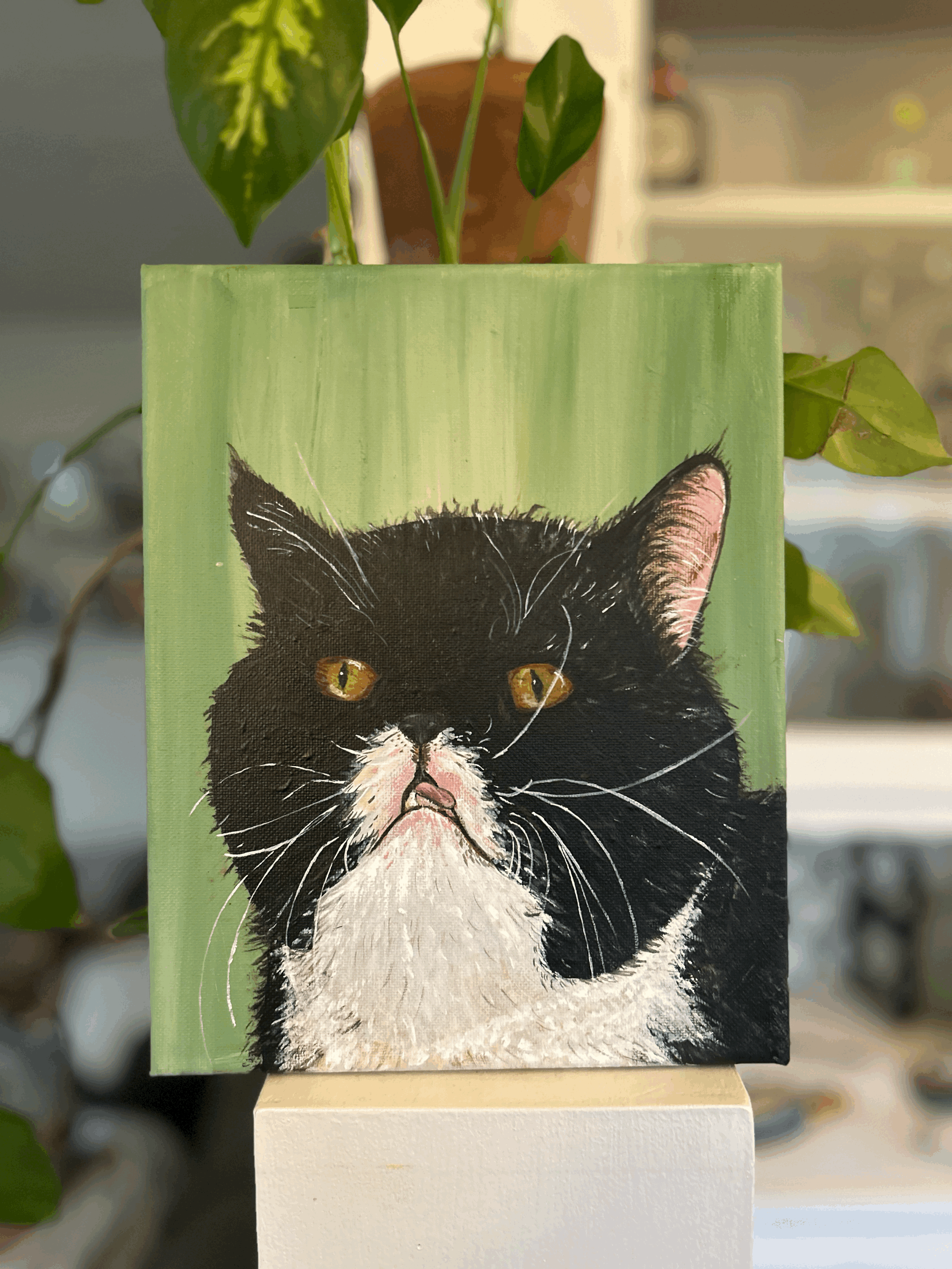 Paint Your Cat 