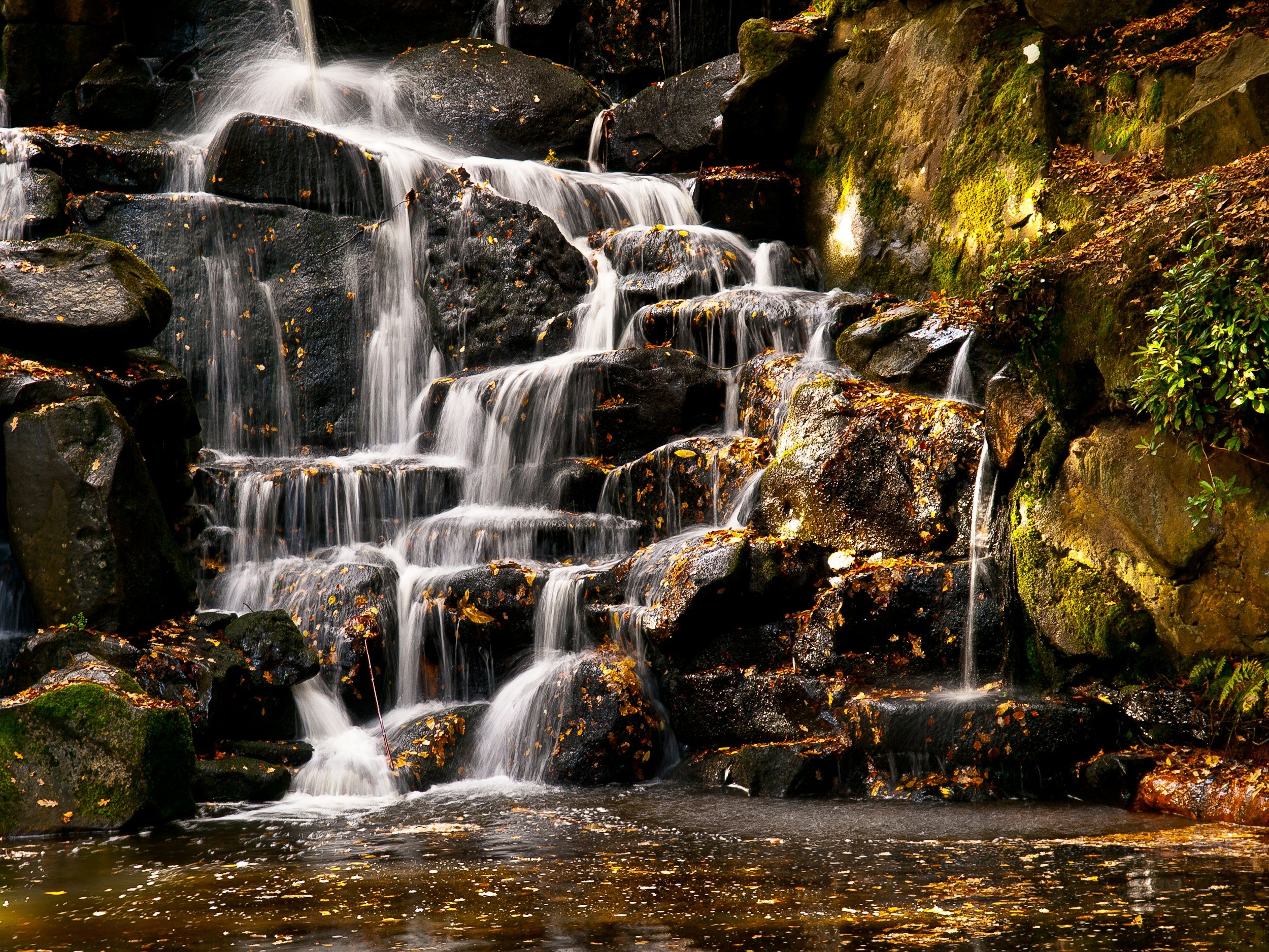 A small waterfall cascading over dark rocks in a forested area with moss and fallen leaves.