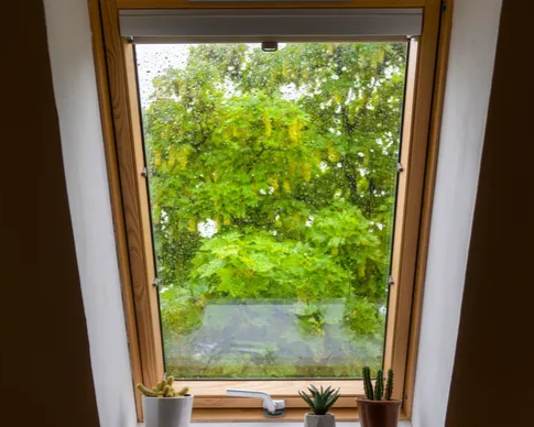 View through a window with rain droplets showing green trees outside
