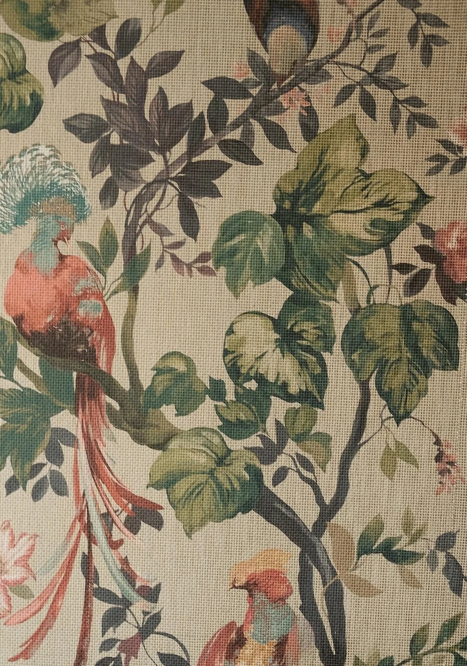 Coach for high-performing teams