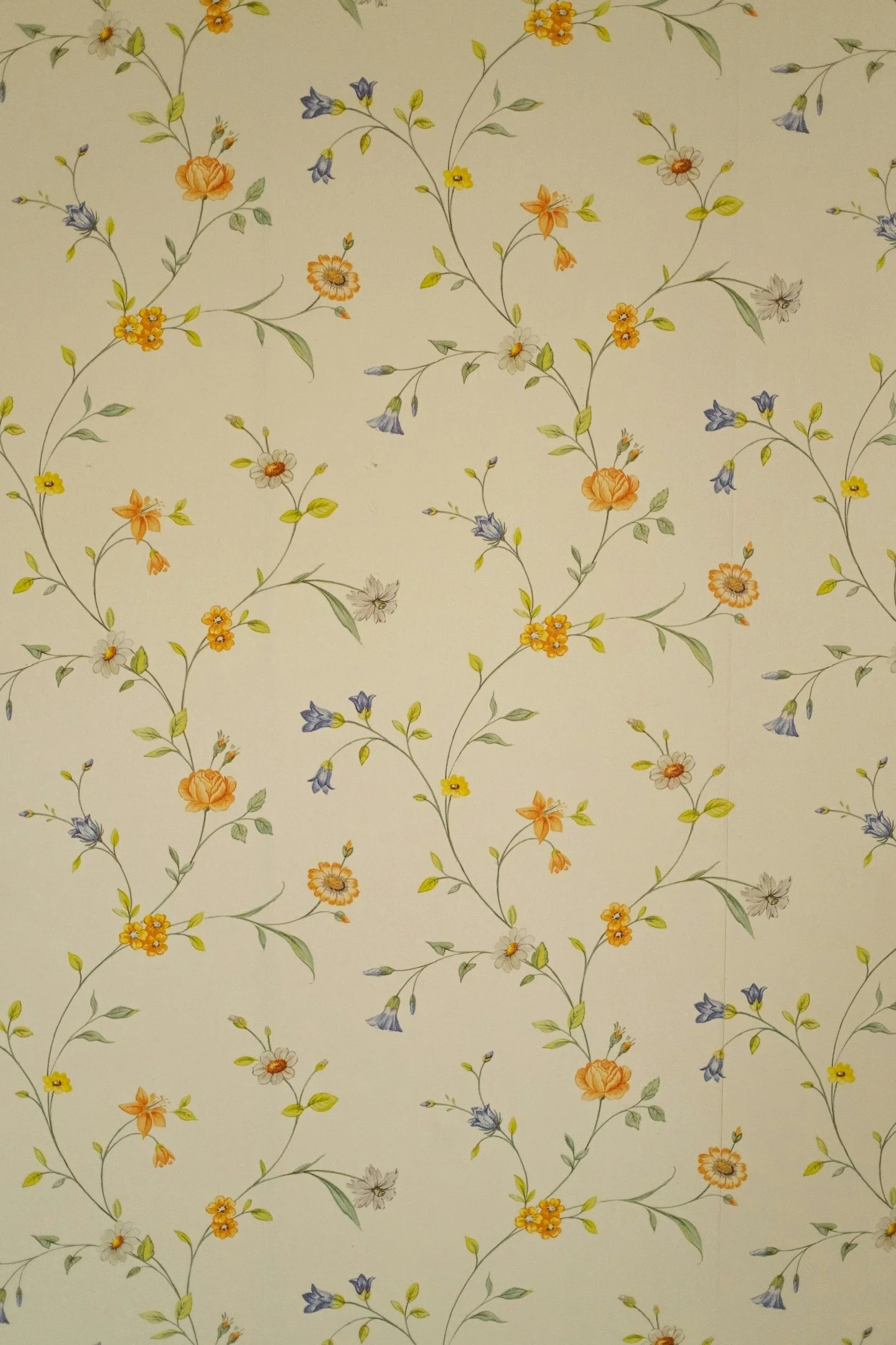 With over 20 years of experience, Ashlee Klevens Hayes equips leaders and teams with clarity systems that improve alignment and performance.