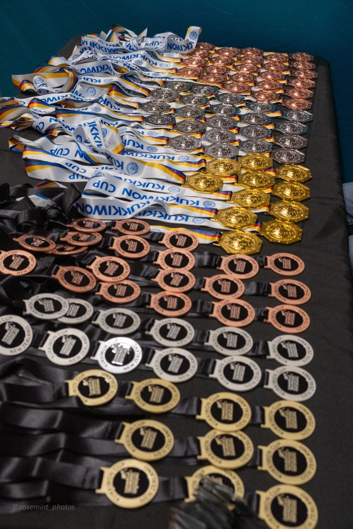 Kukkiwon Cup Medals 2025