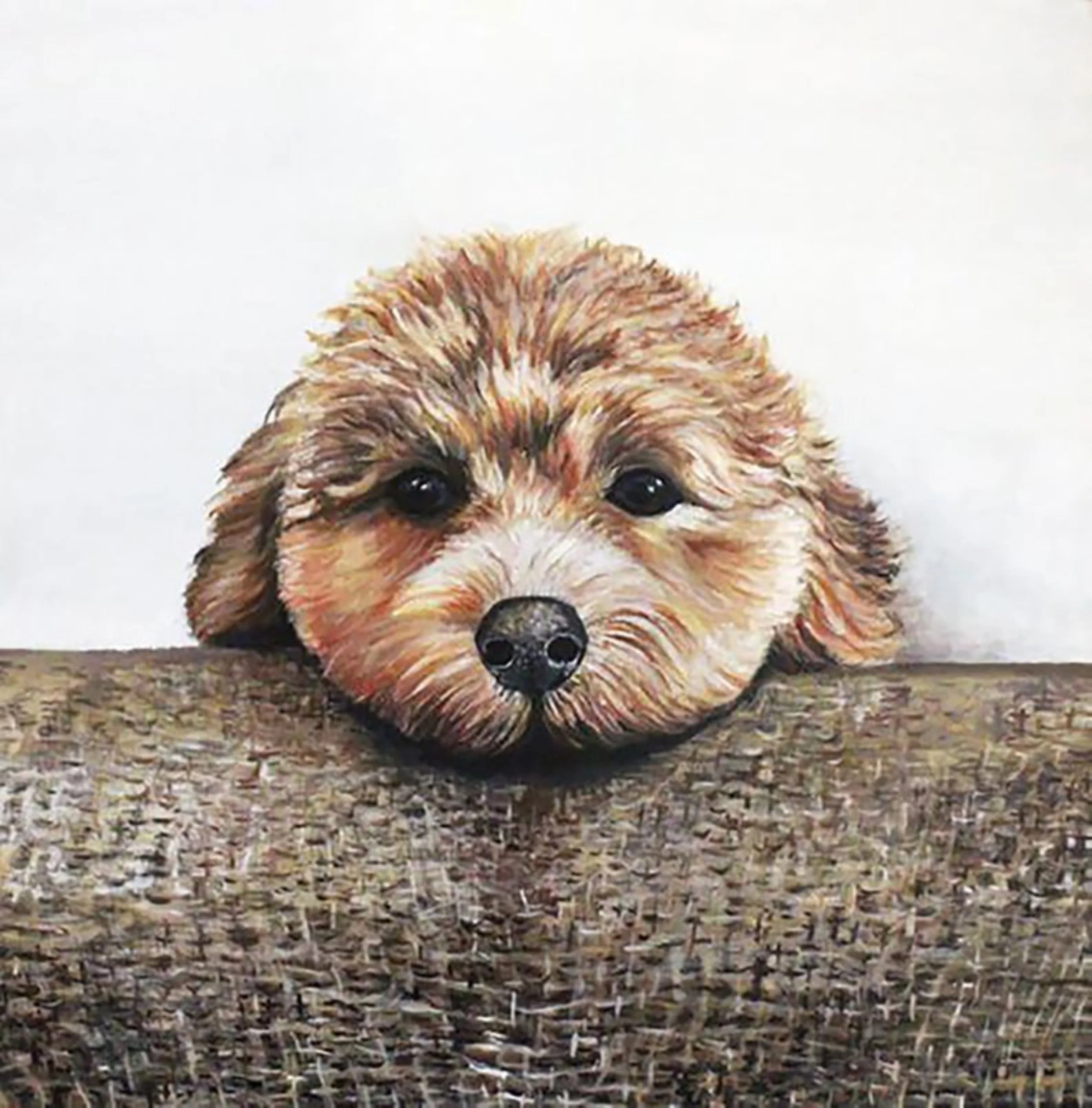 Curiosity by Hope Flynn.jpg