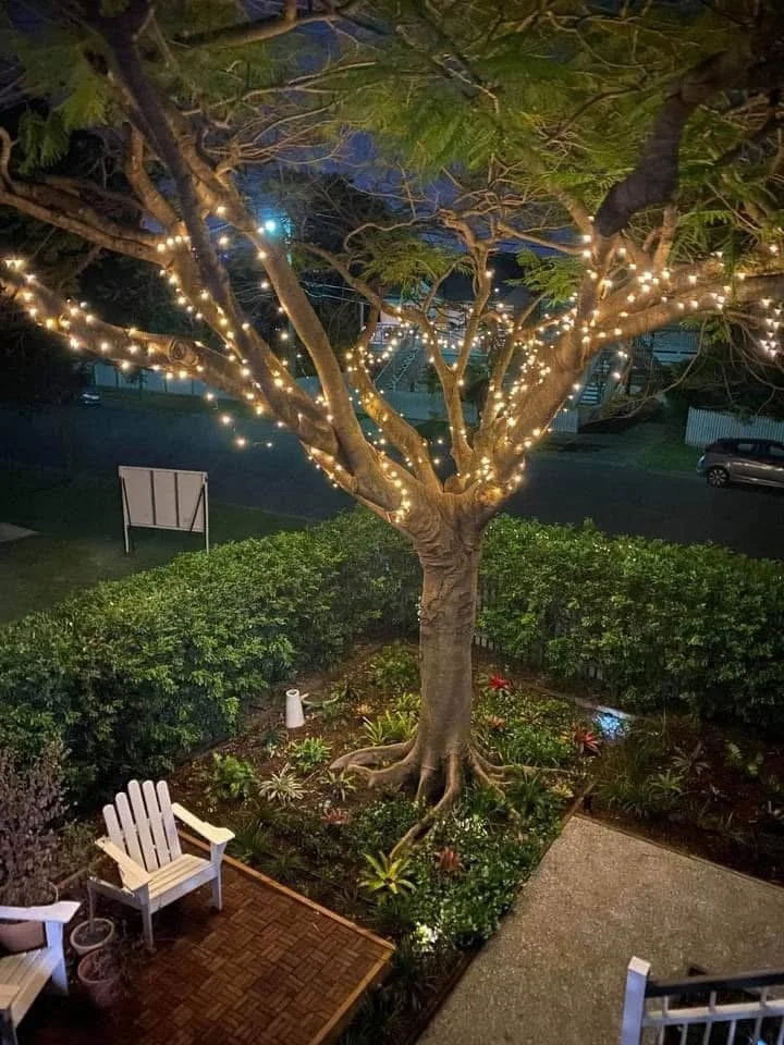 Fairy Lights in tree Brisbane SE QLD