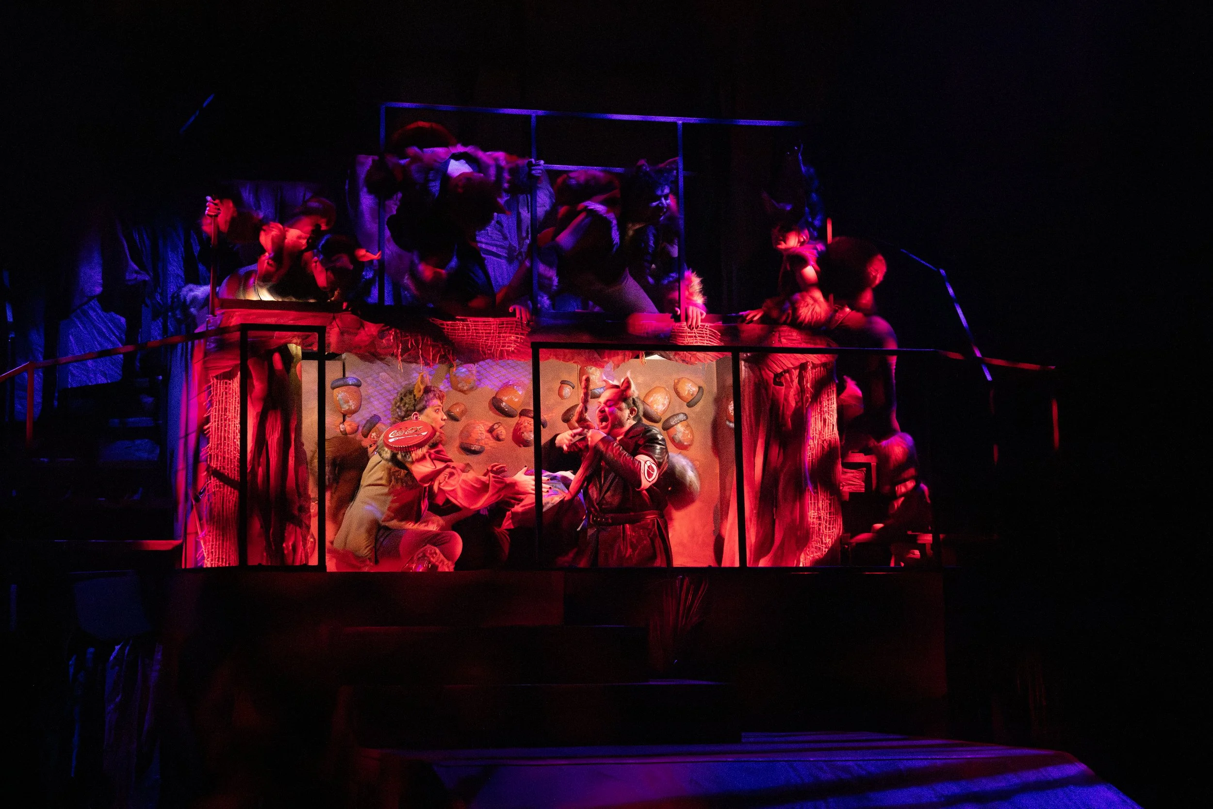 OSU. The Squirrels. Edits-122.jpg