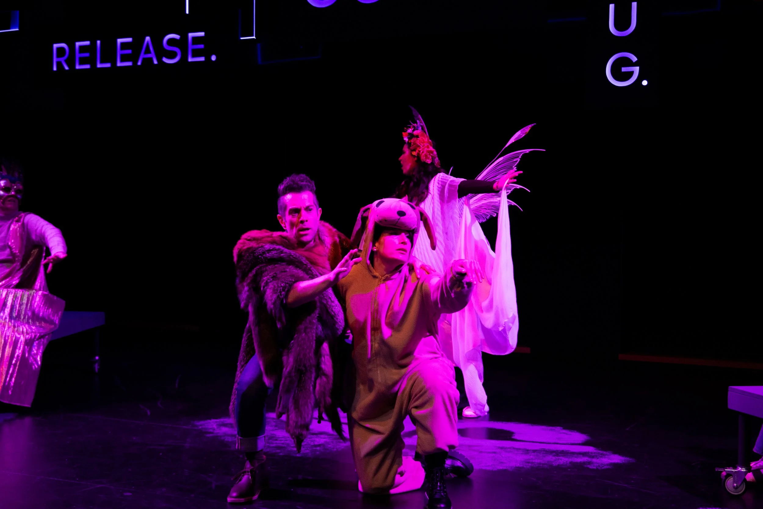 OSU. The Dog Project-10.jpg