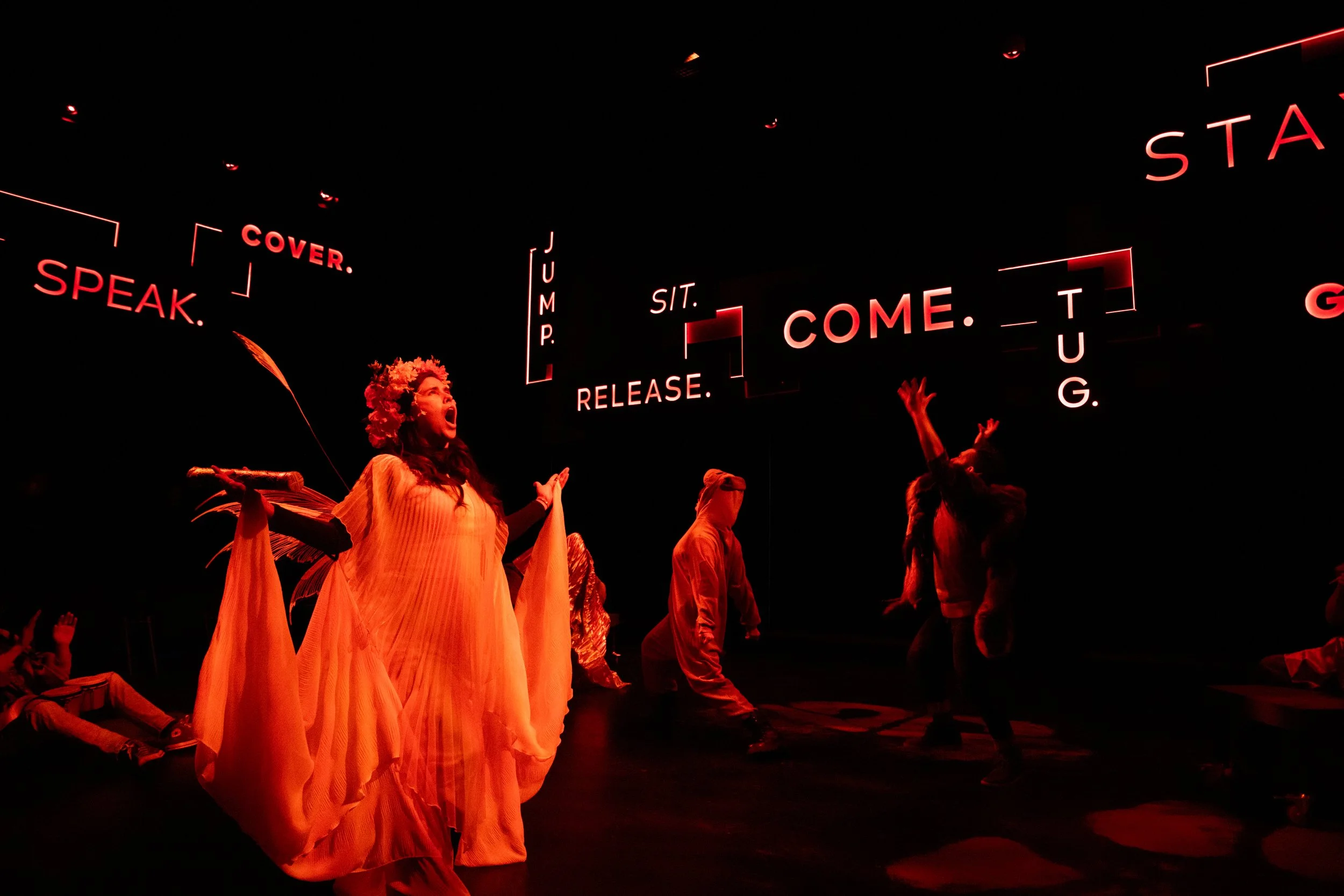 OSU. The Dog Project-11.jpg