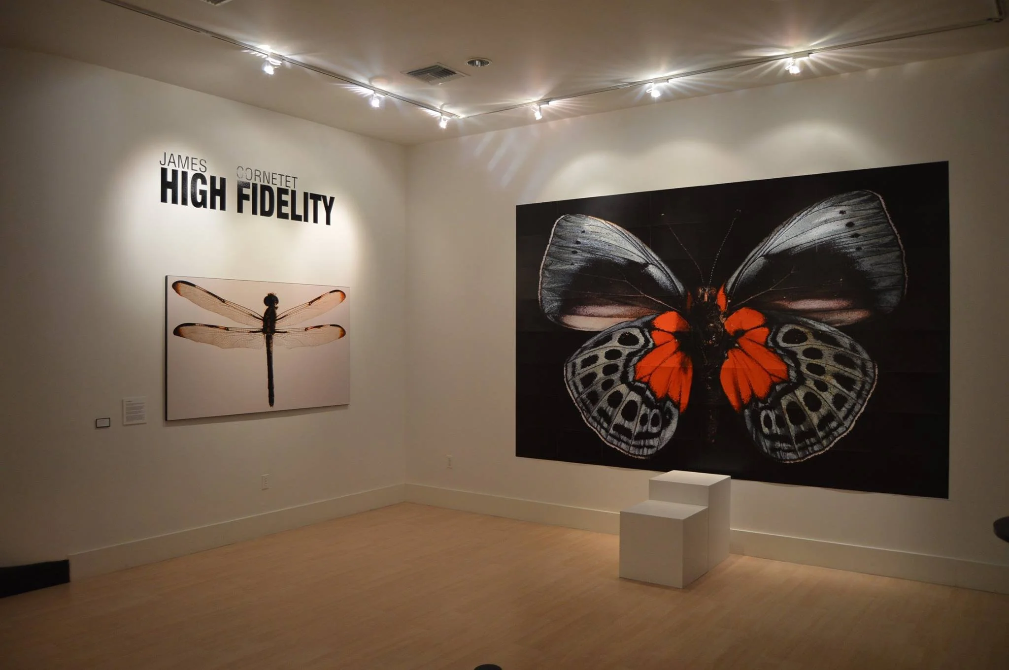 10710210_10204860915473749_4319518576346957086_o (1).jpg