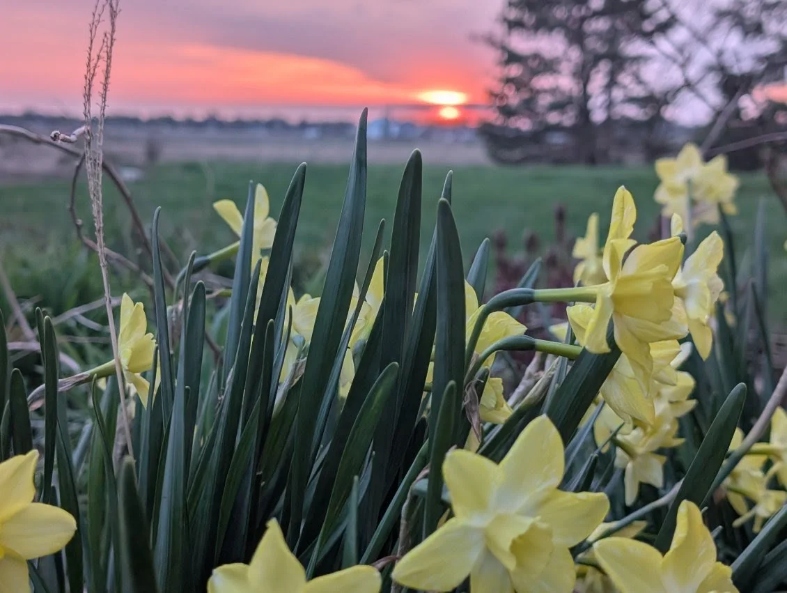 Sweet, Spring is Upon Us. 