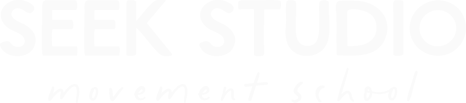 SEEK MOVEMENT SCHOOL