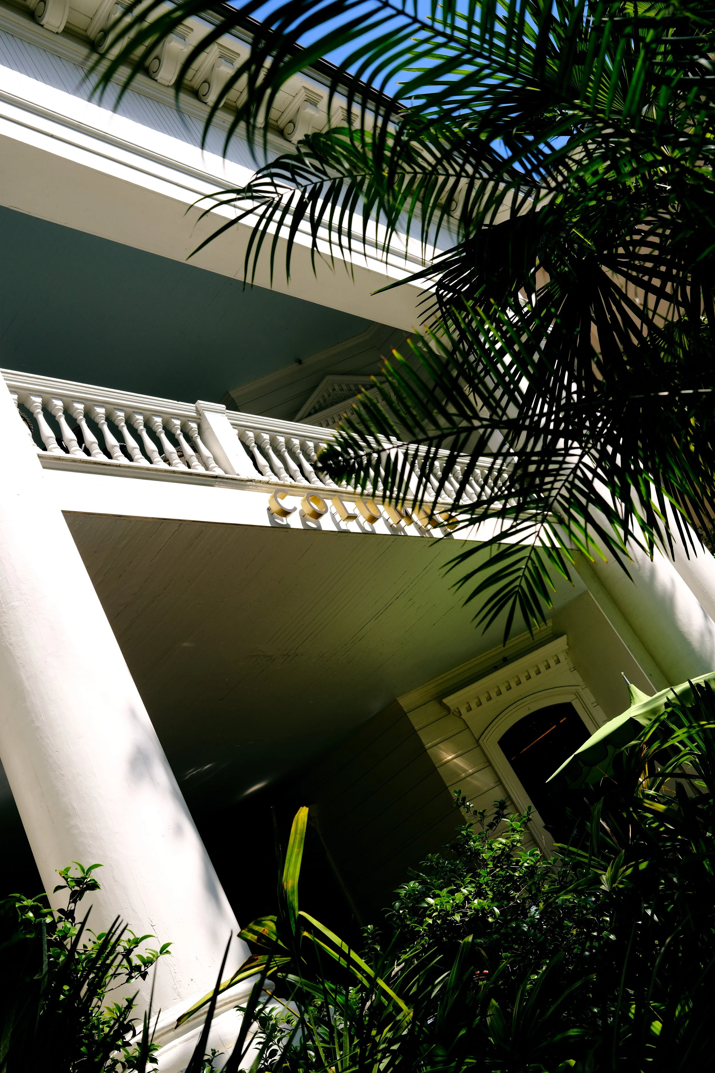 DSCF1224.jpg