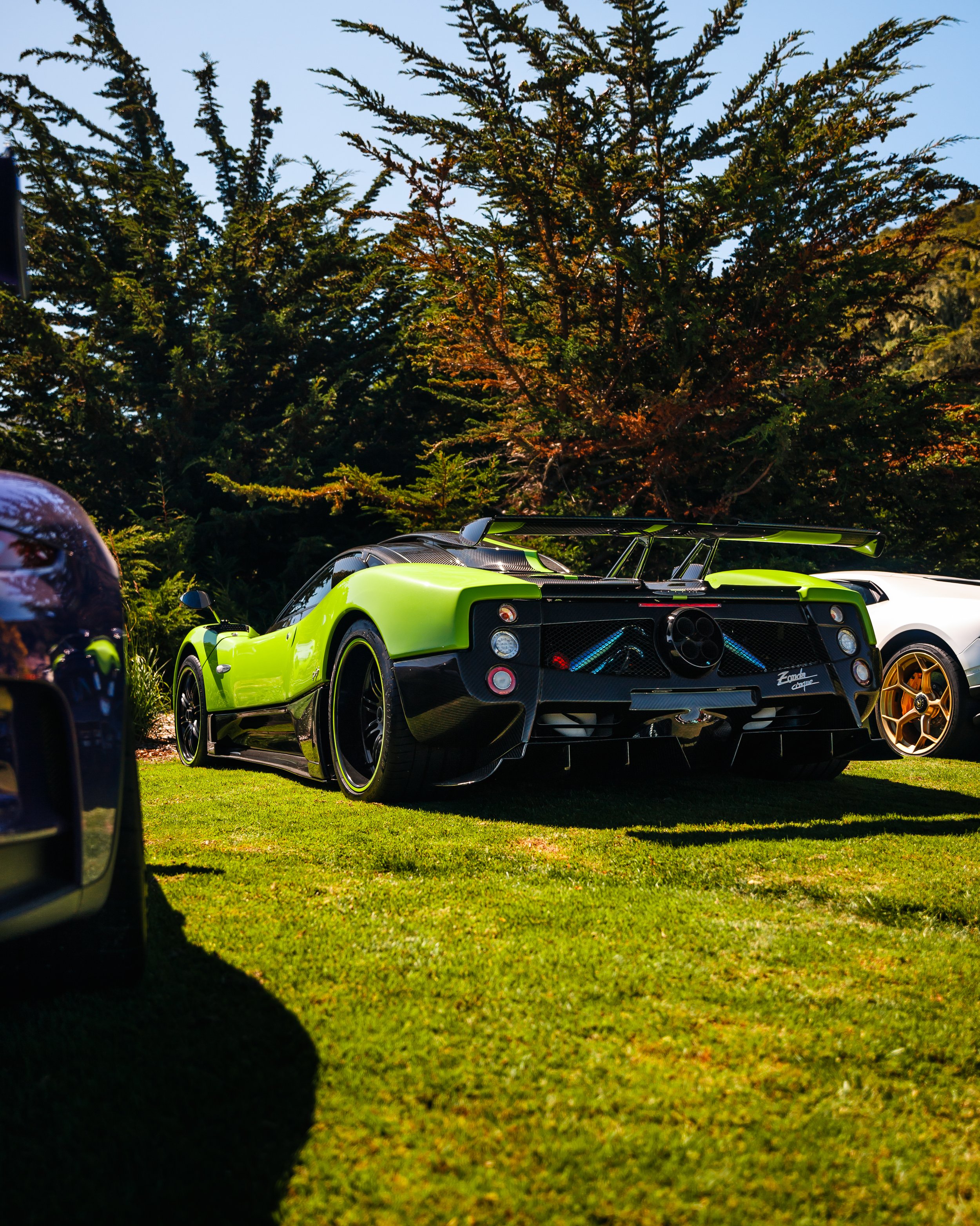 MCW green cinque back at quail lot no ppl.2.jpg