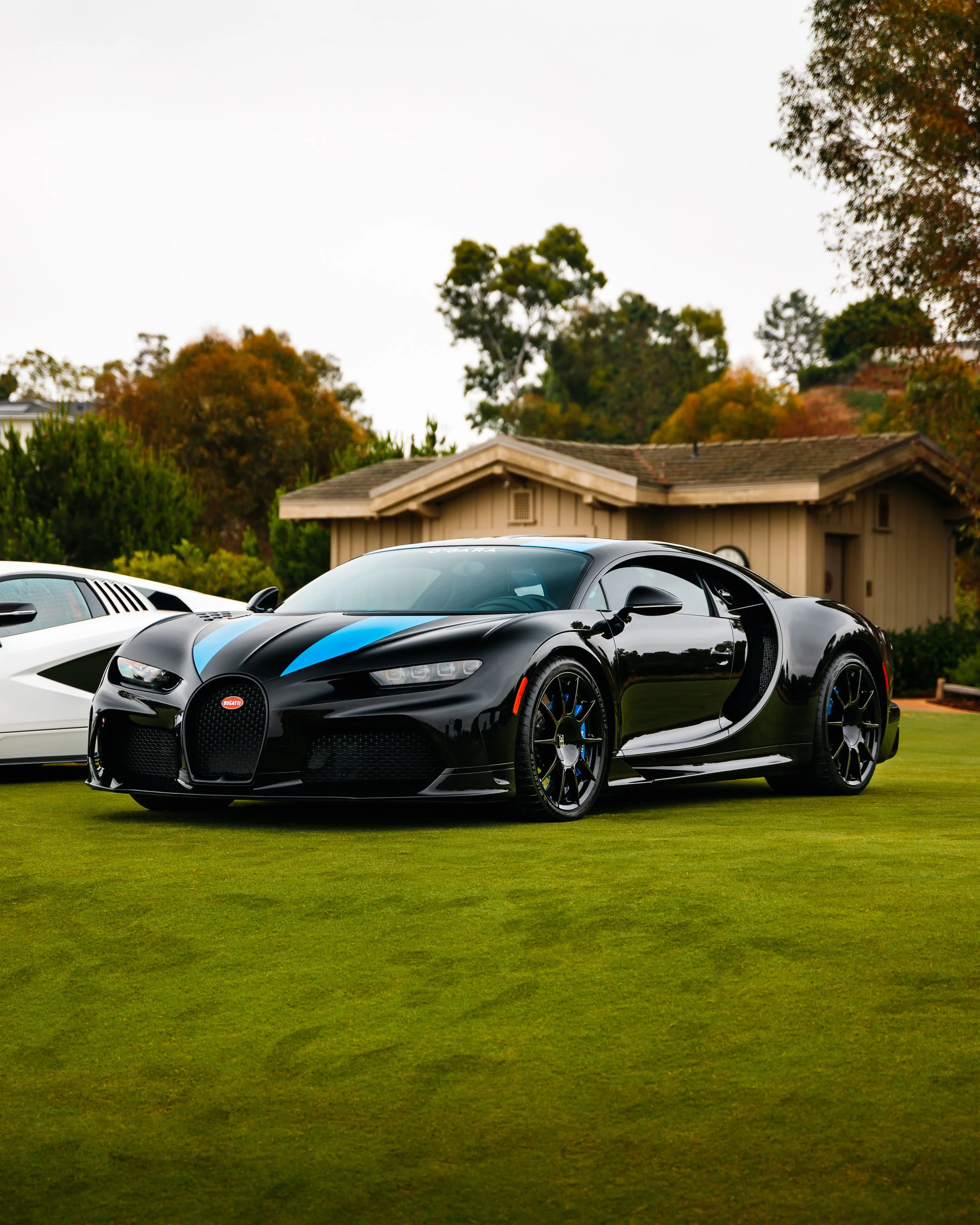 sbac ogara black and blue chiron super sport.jpg