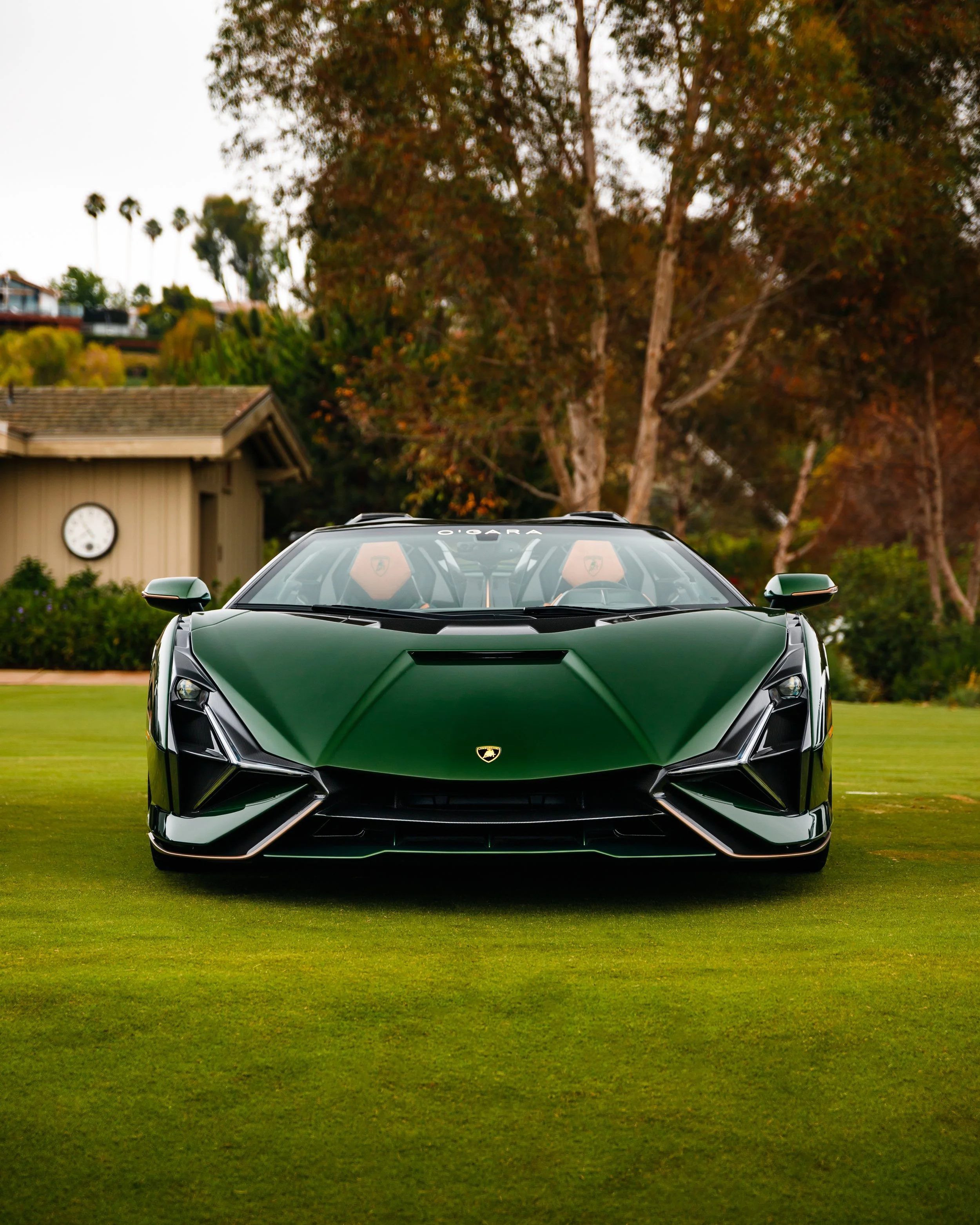 sbac ogara green sian.jpg