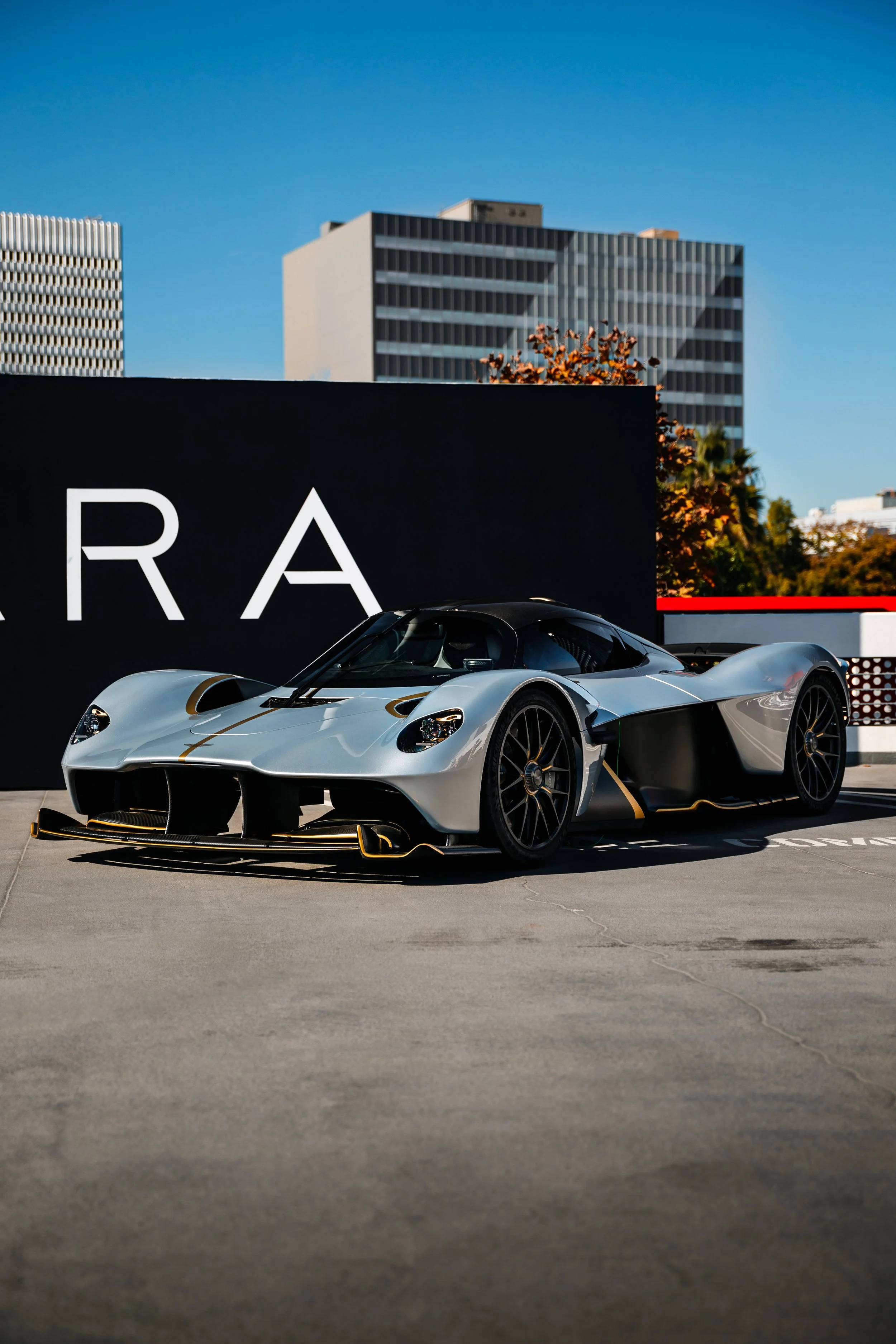 dec sunsetgt (1).jpg