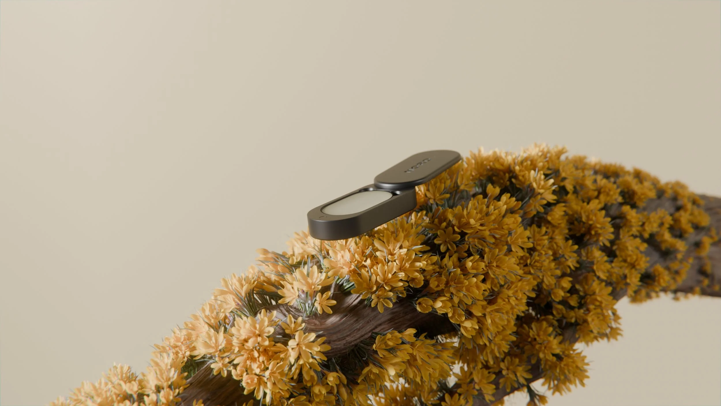 Nord - Concept Project