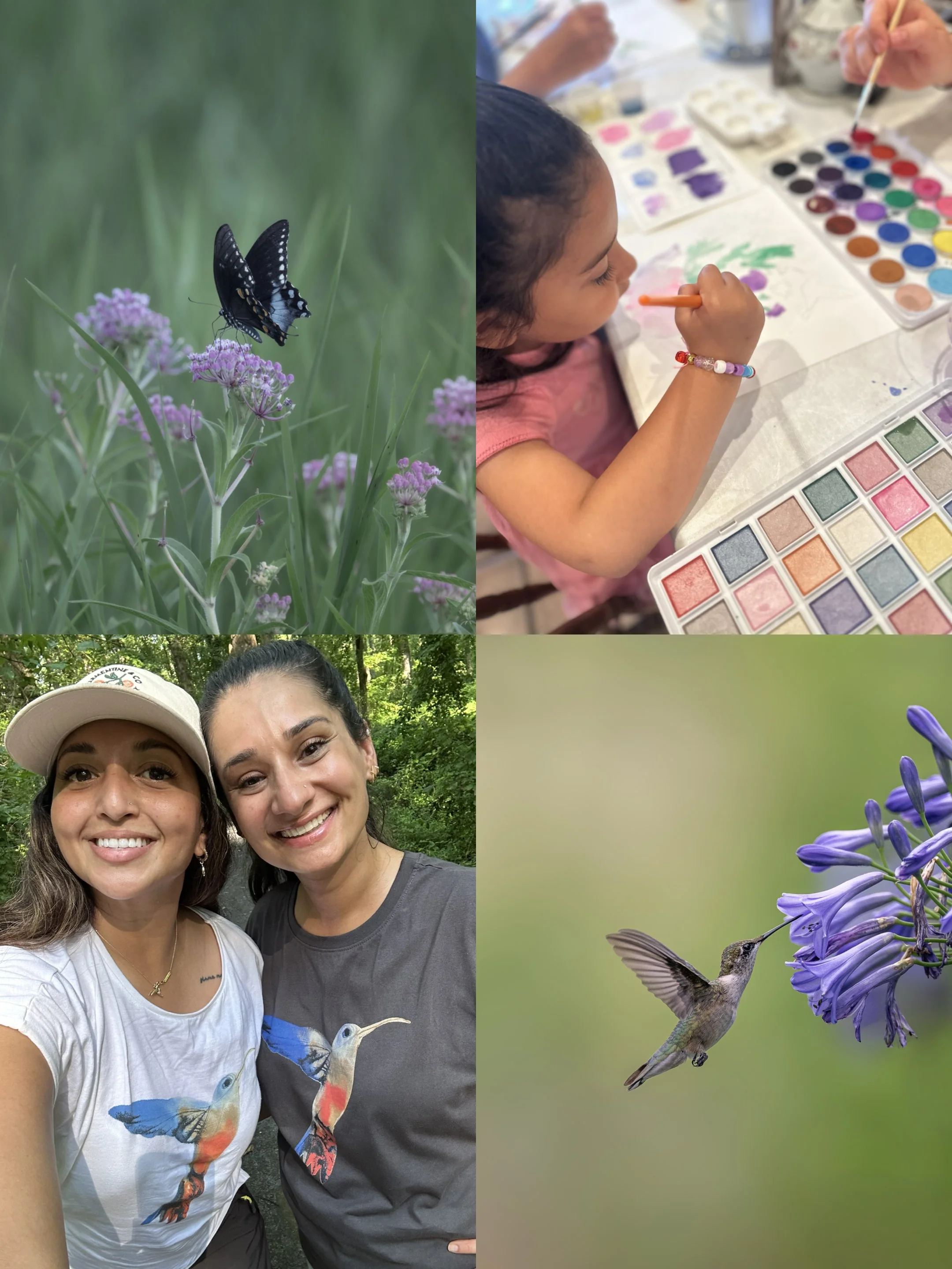 Pollinators & Paintbrushes on Aug 9th @ Green Springs Garden - 9:30 am