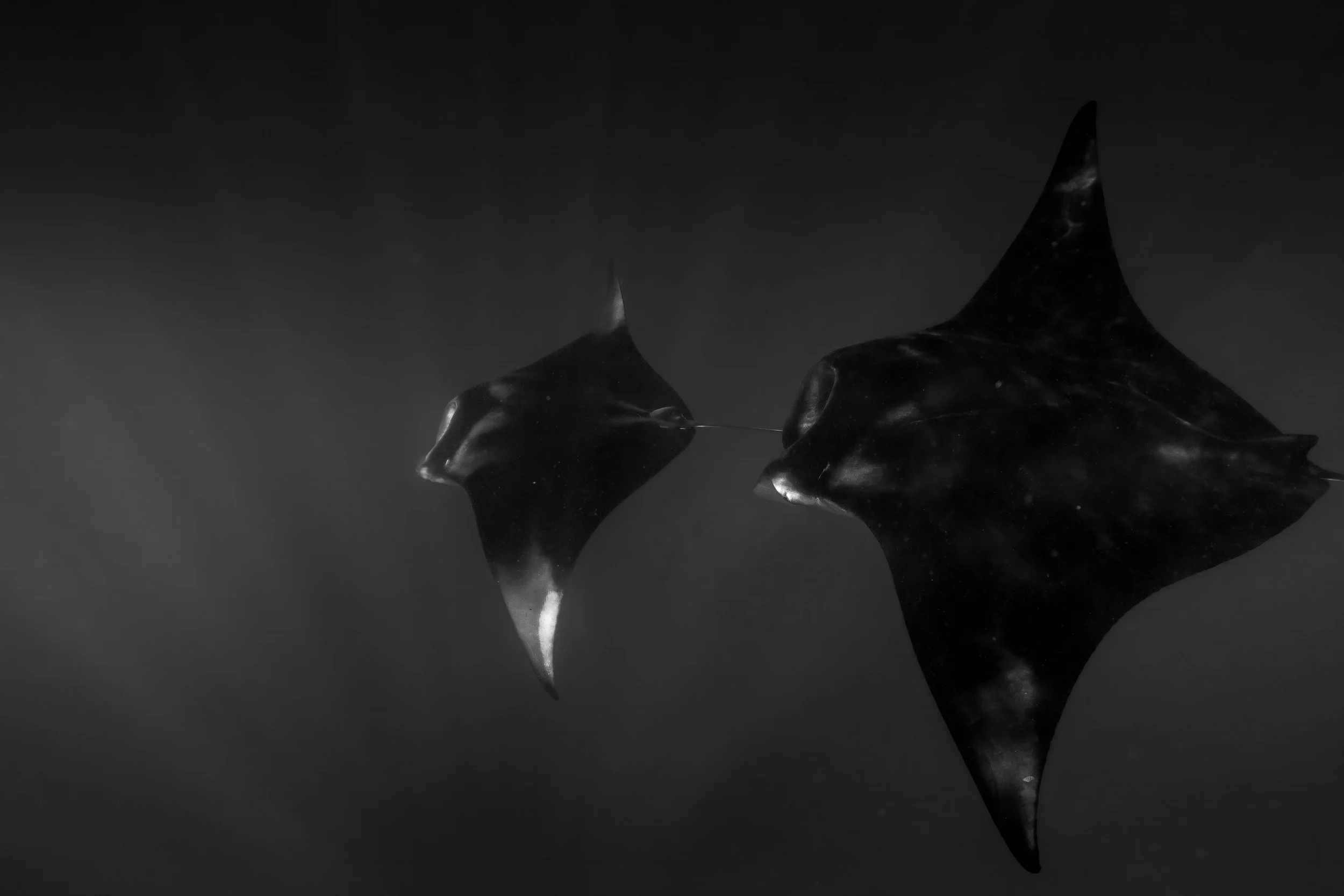 Photography Workshop