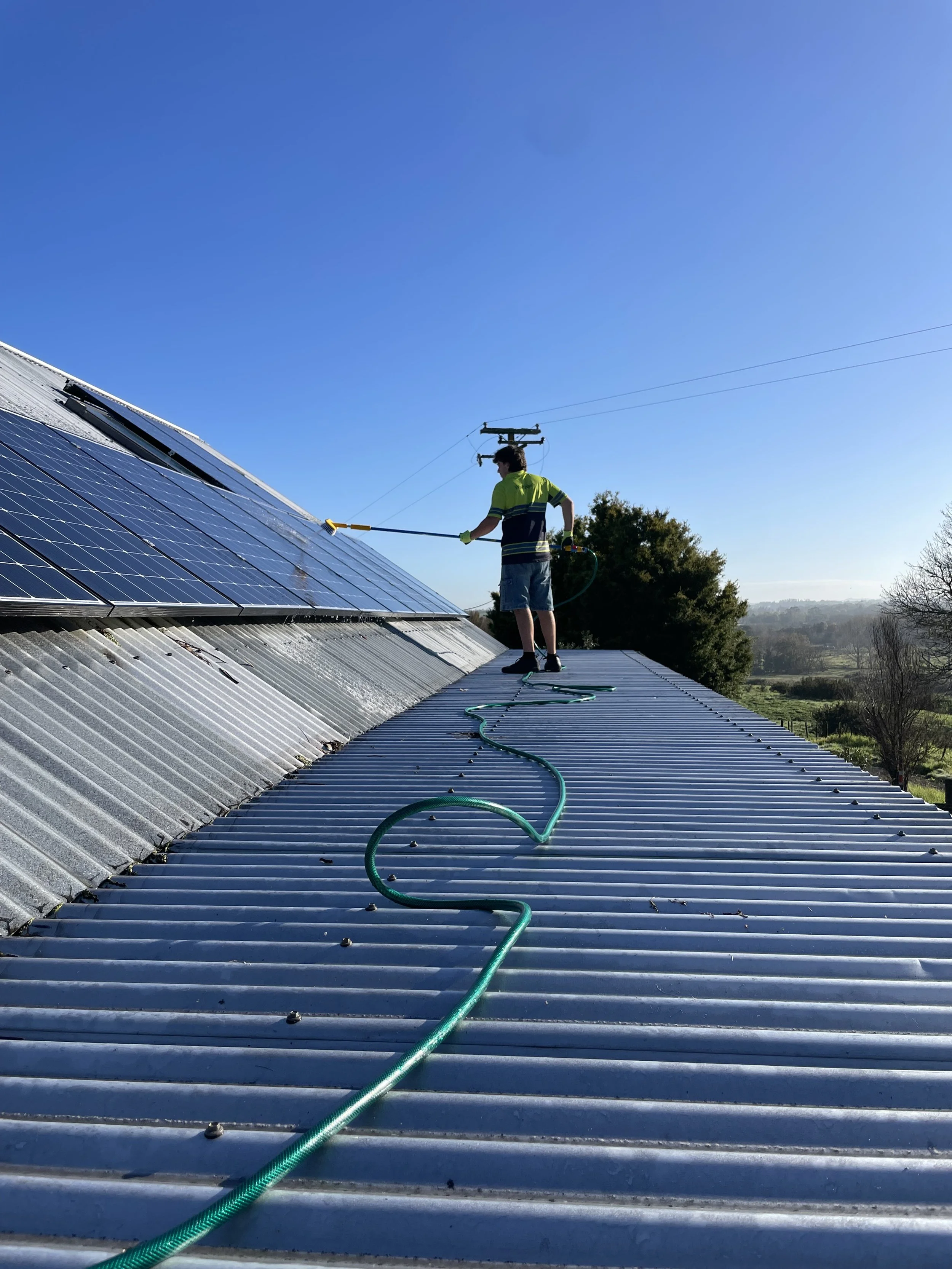 A person cleaning solar panels on a metal roof on a clear, sunny day with blue sky and trees in the background.