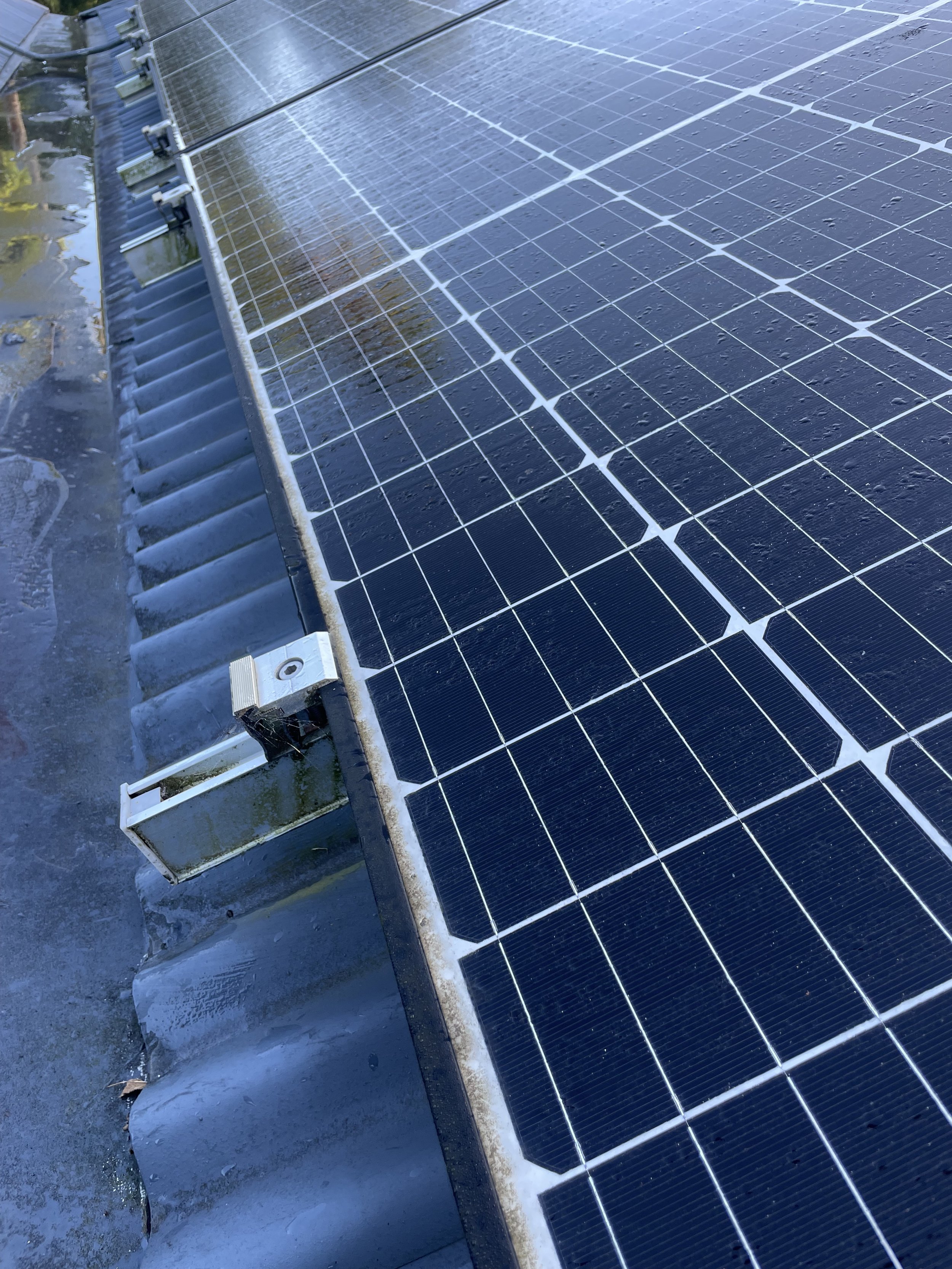 Close-up of rooftop solar panels with water droplets on their surface.
