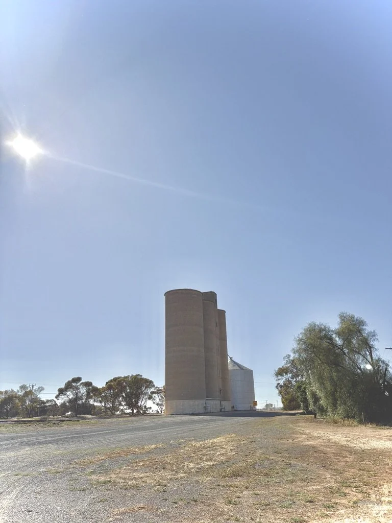 Large concrete grain silos with trees and a dirt road in a rural area under a clear blue sky with the sun shining.