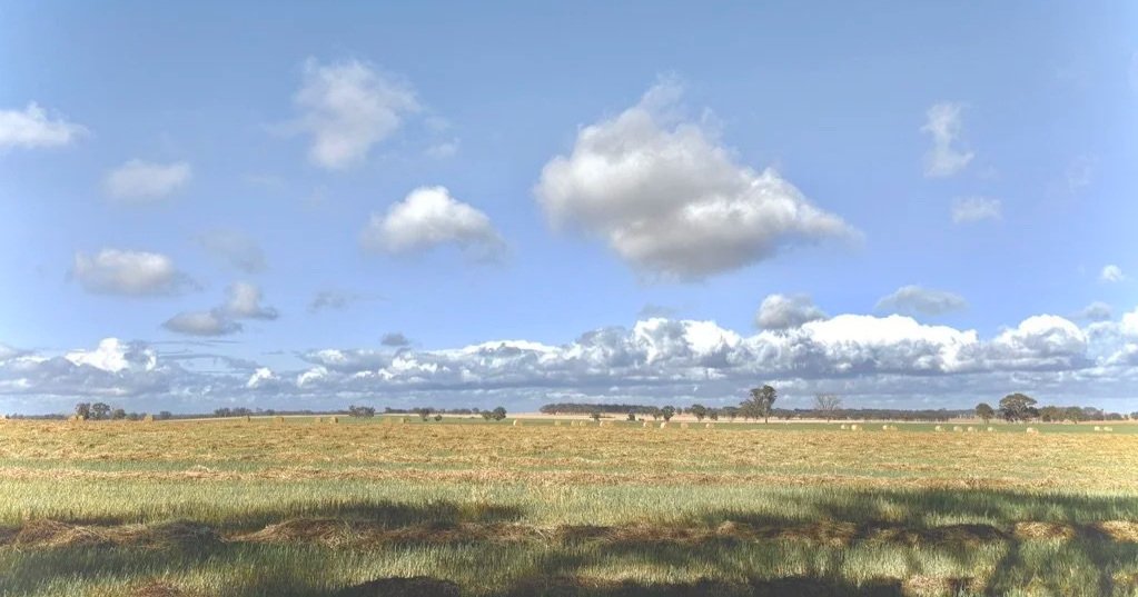 Open farmland under a blue sky with scattered clouds, with trees in the distance.