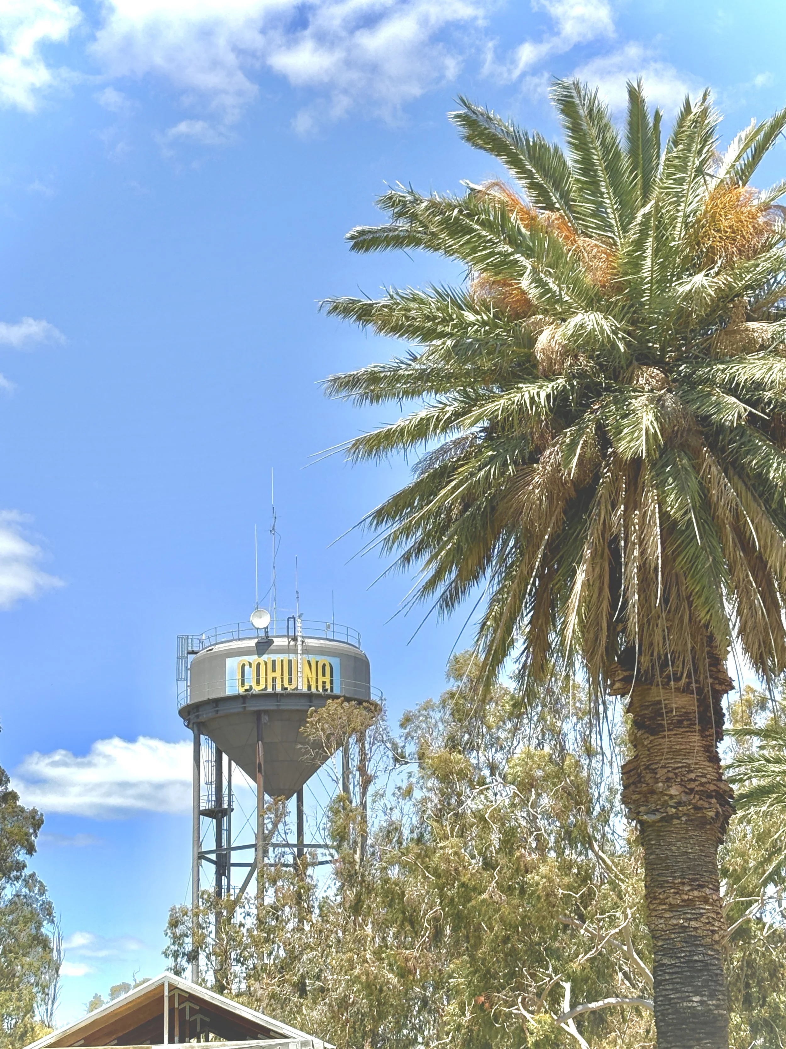 A tall palm tree with long, green fronds stands next to a water tower with the word 'COHUNA' written on it. The sky is bright blue with a few clouds, and there are trees and a building with a sloped roof below.