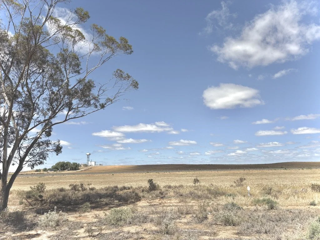 A wide open landscape with a tree in the foreground, a flat field, and a distant water tower under a partly cloudy sky.